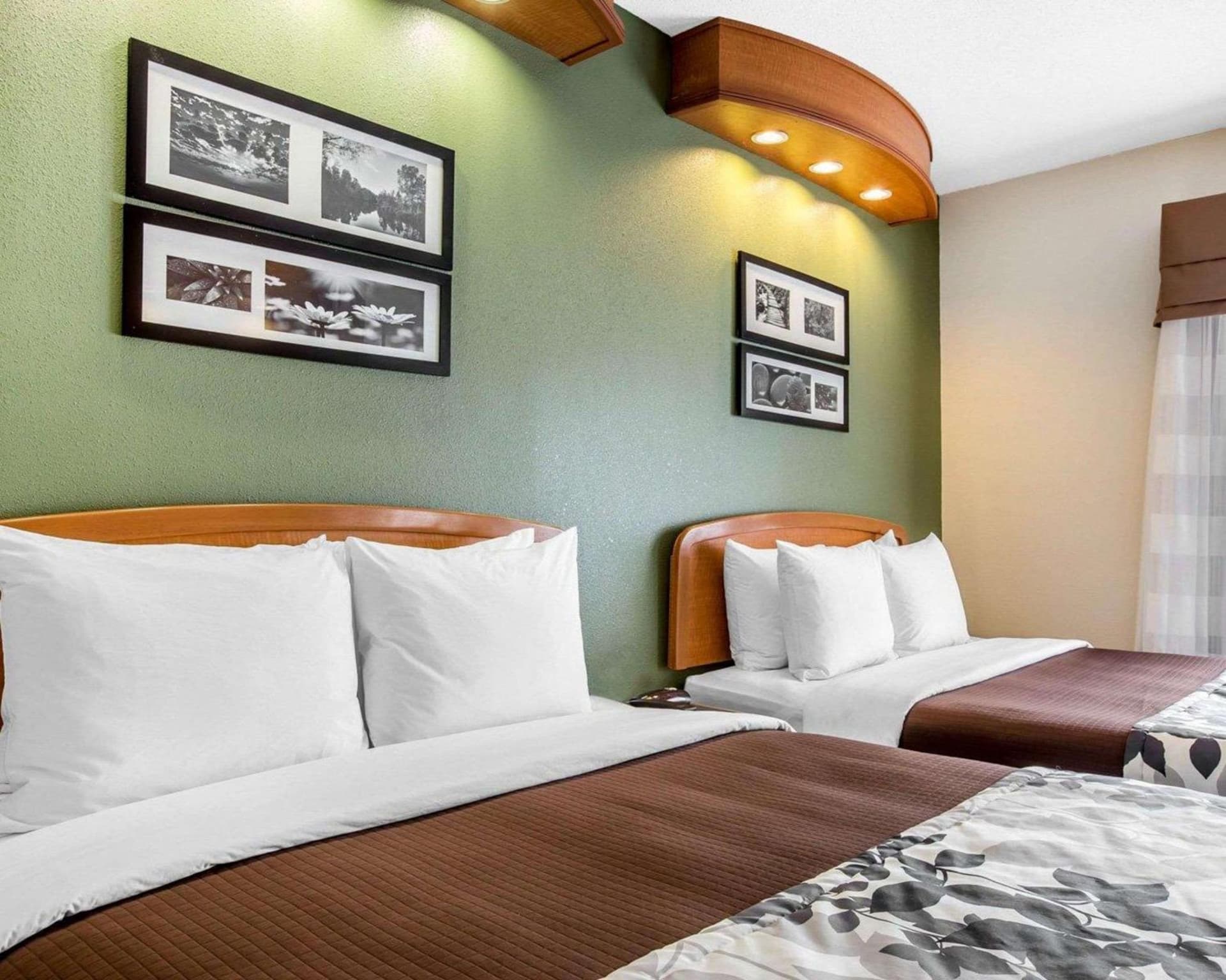 Clarion Pointe Albemarle