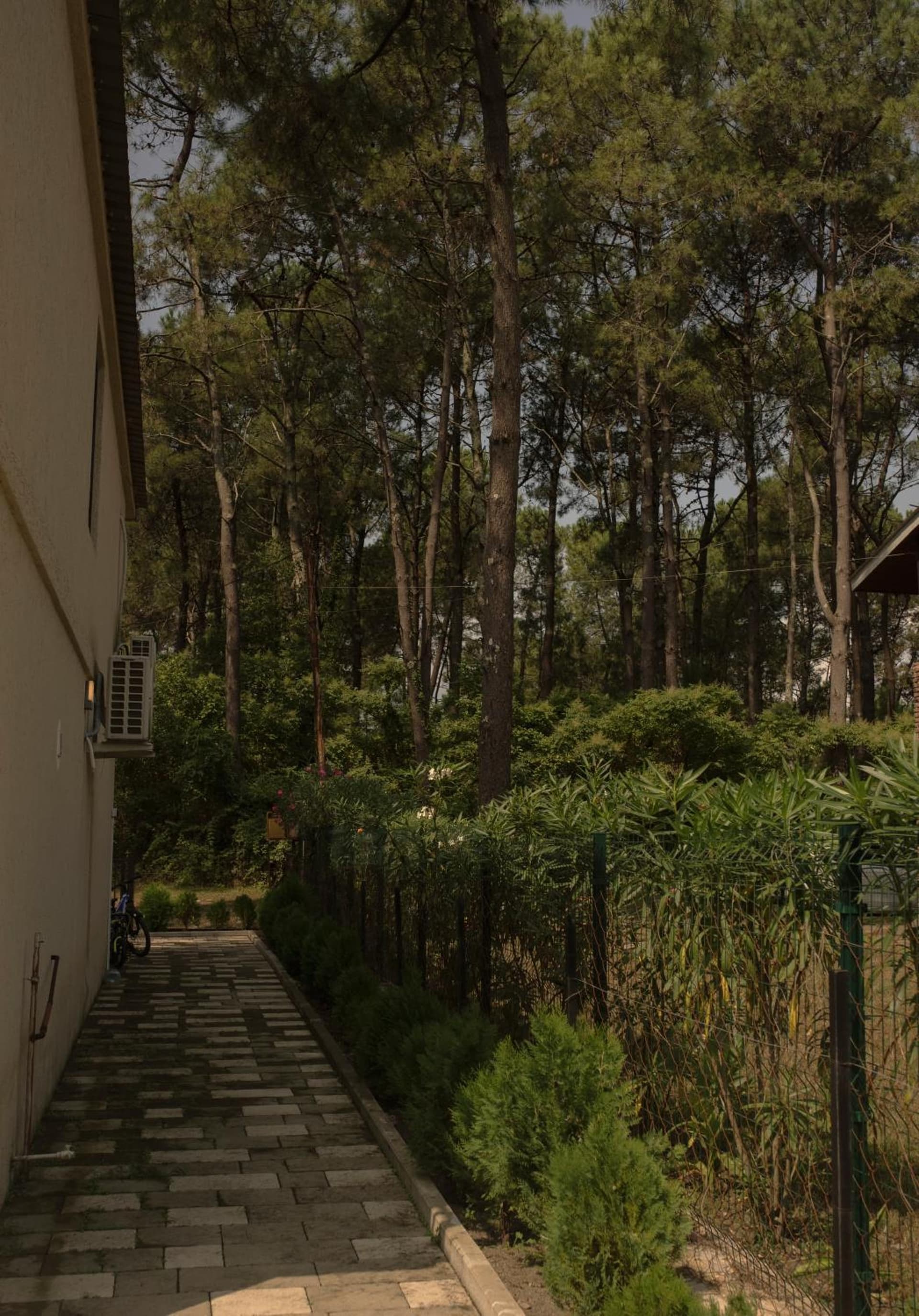 Pretty Home