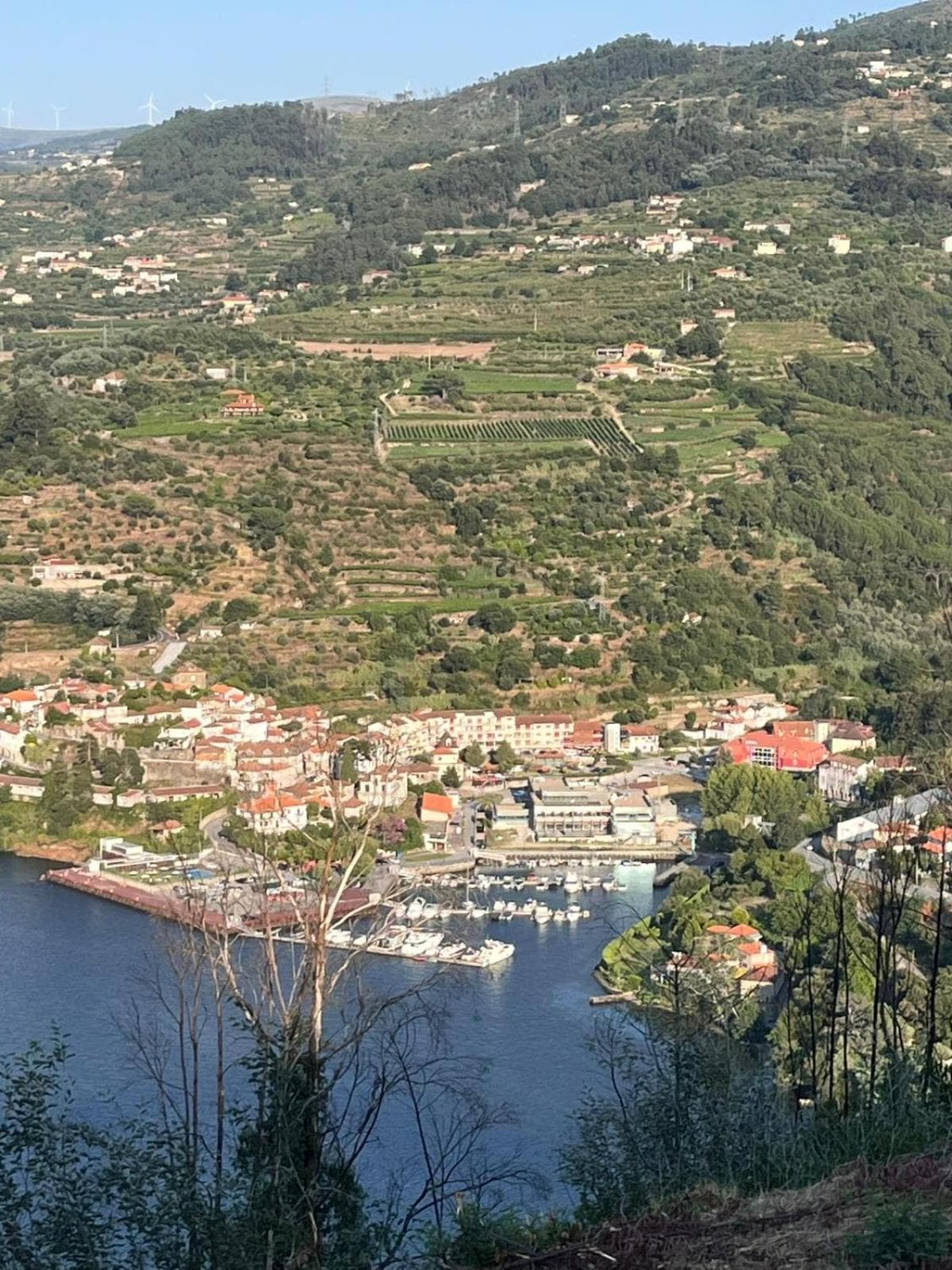 casa Pinto Douro country