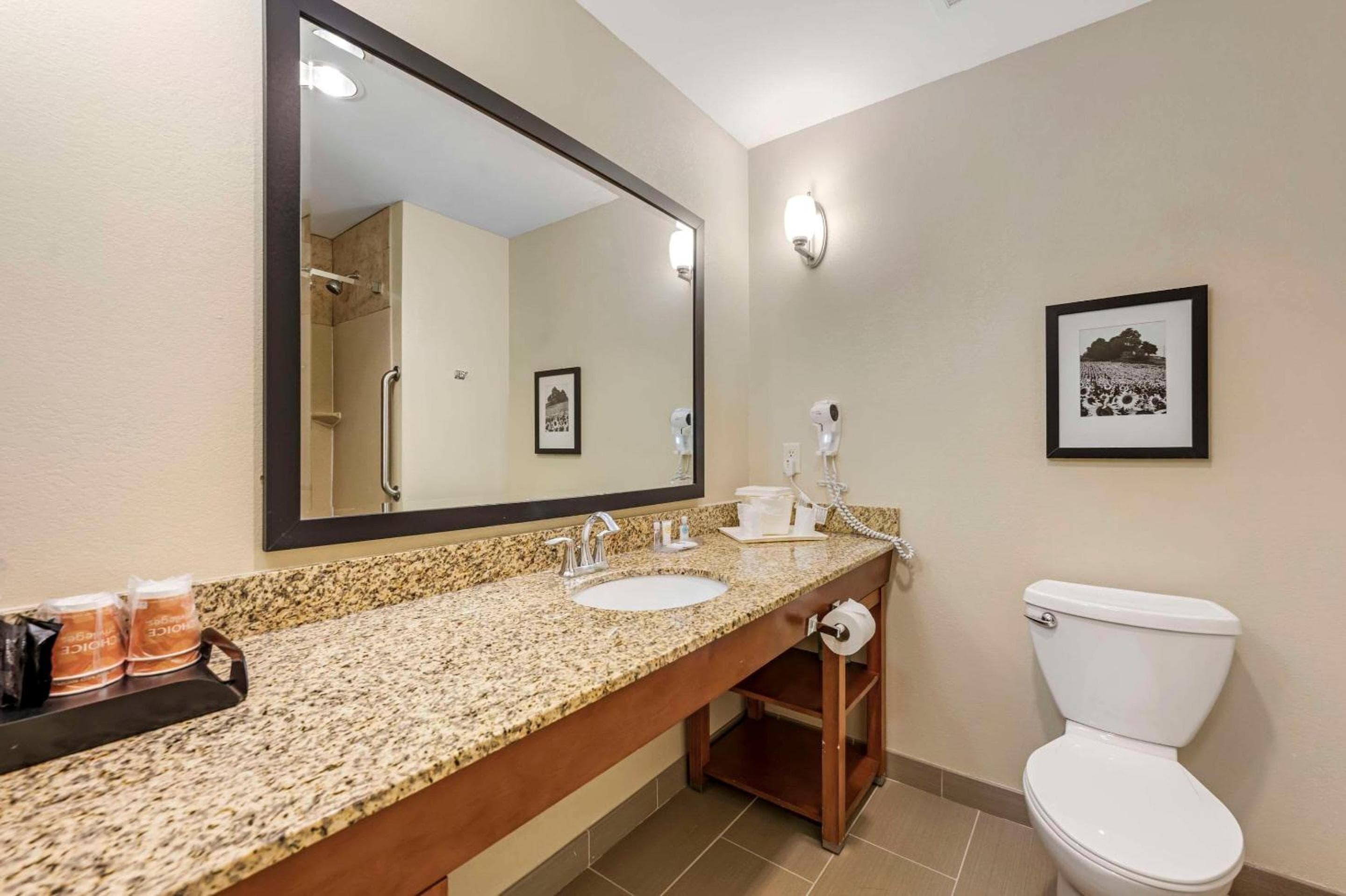 Comfort Suites East Lincoln - Mall Area