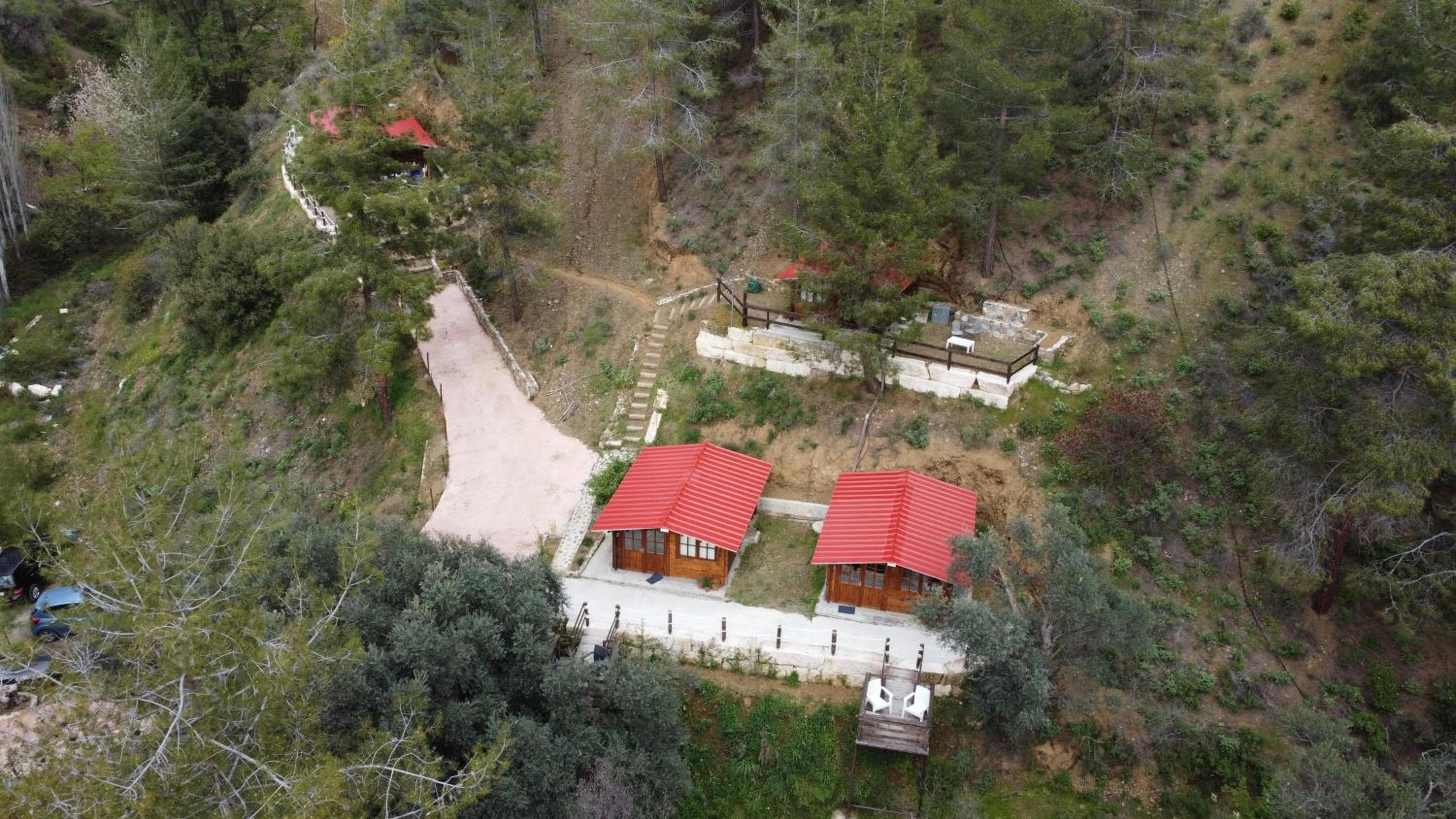 Bosco Paradiso