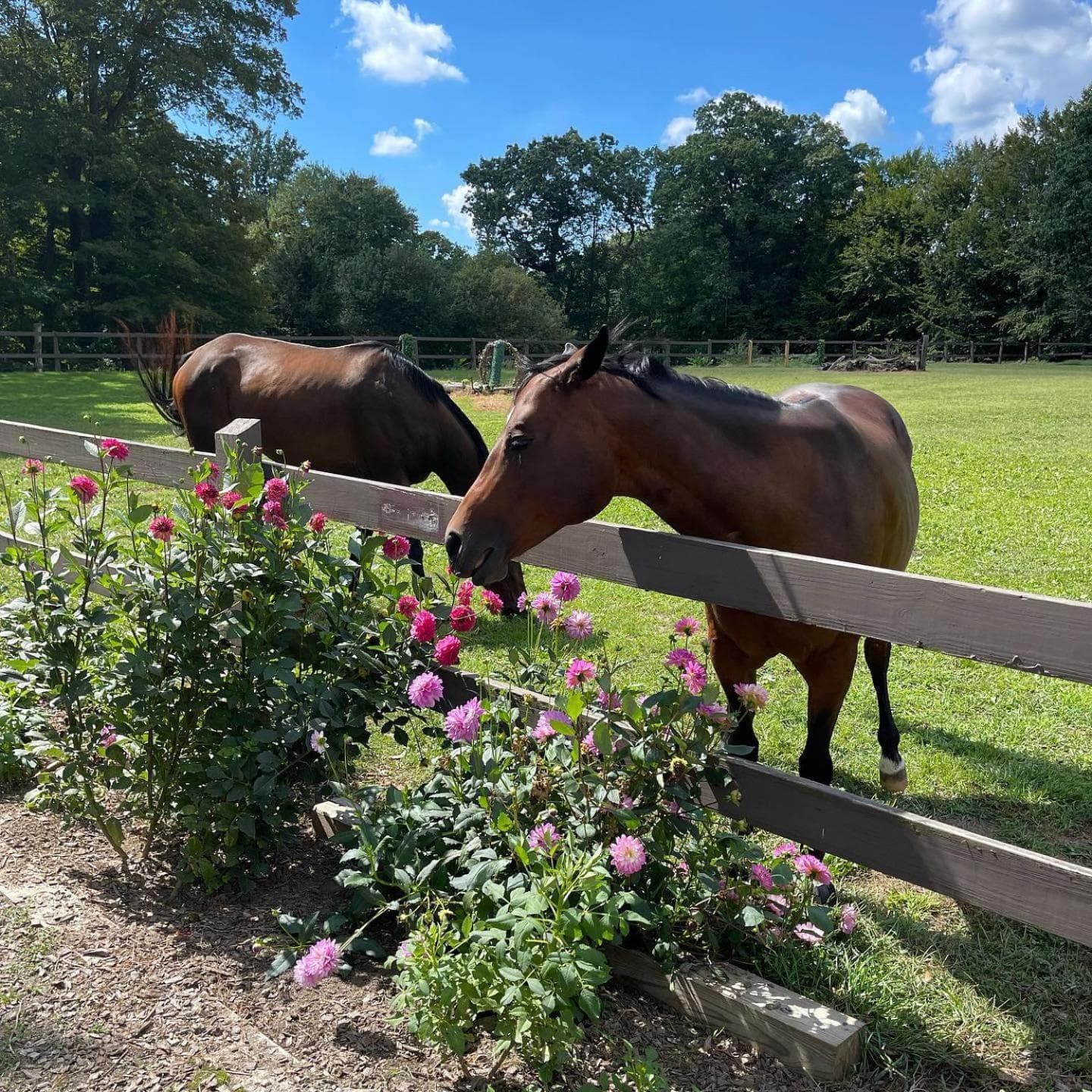 Pet Friendly Milford Beachfront Home
