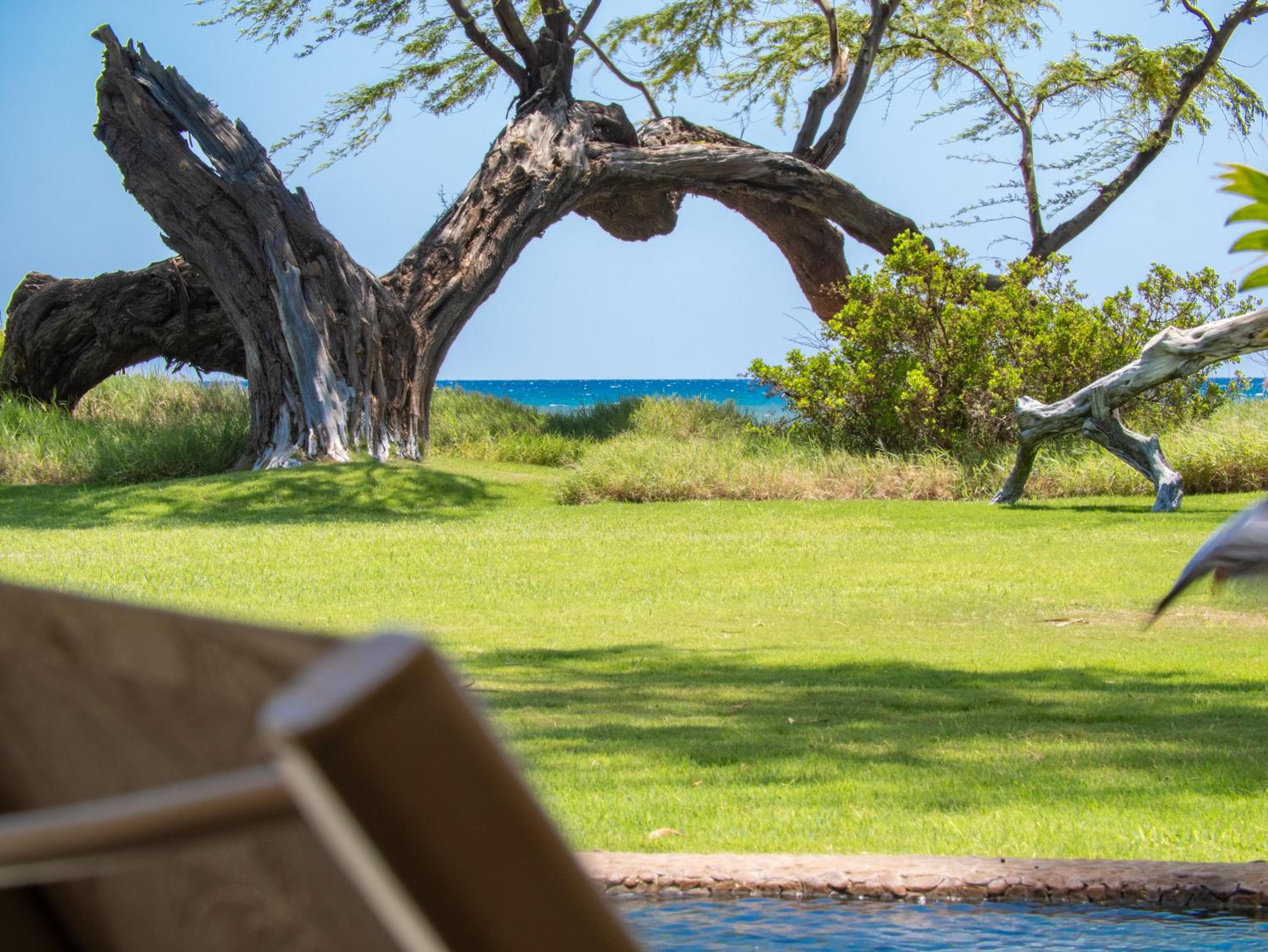 Aloha Aku Honu2 Suite - Relax by the Sea in Tranquility