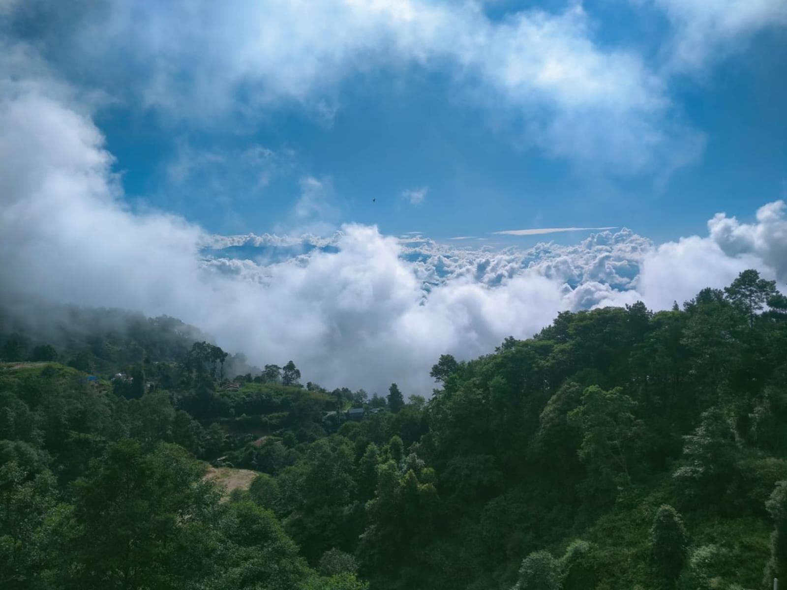 Lasso khaja Ghar