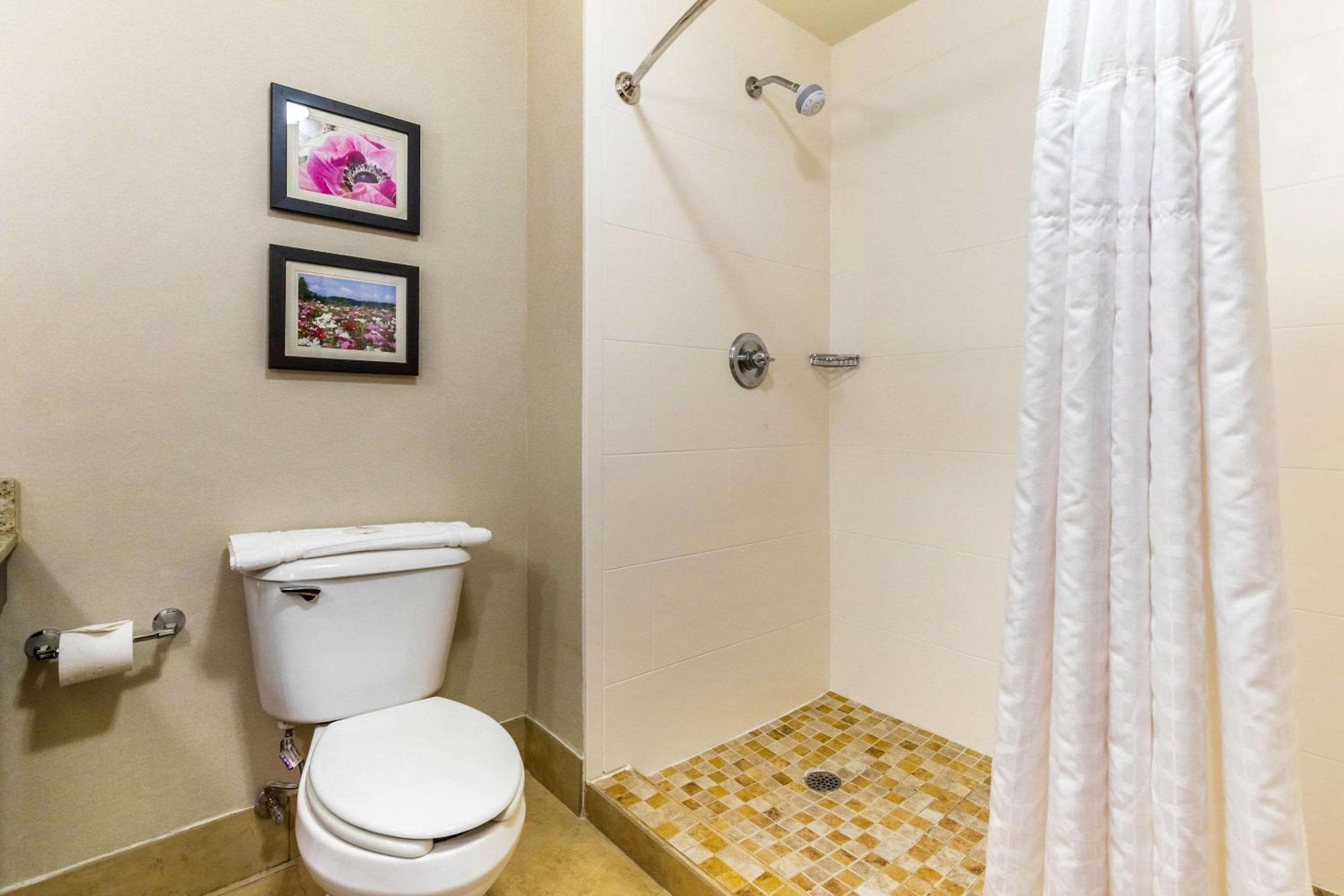 Comfort Suites Gastonia - Charlotte