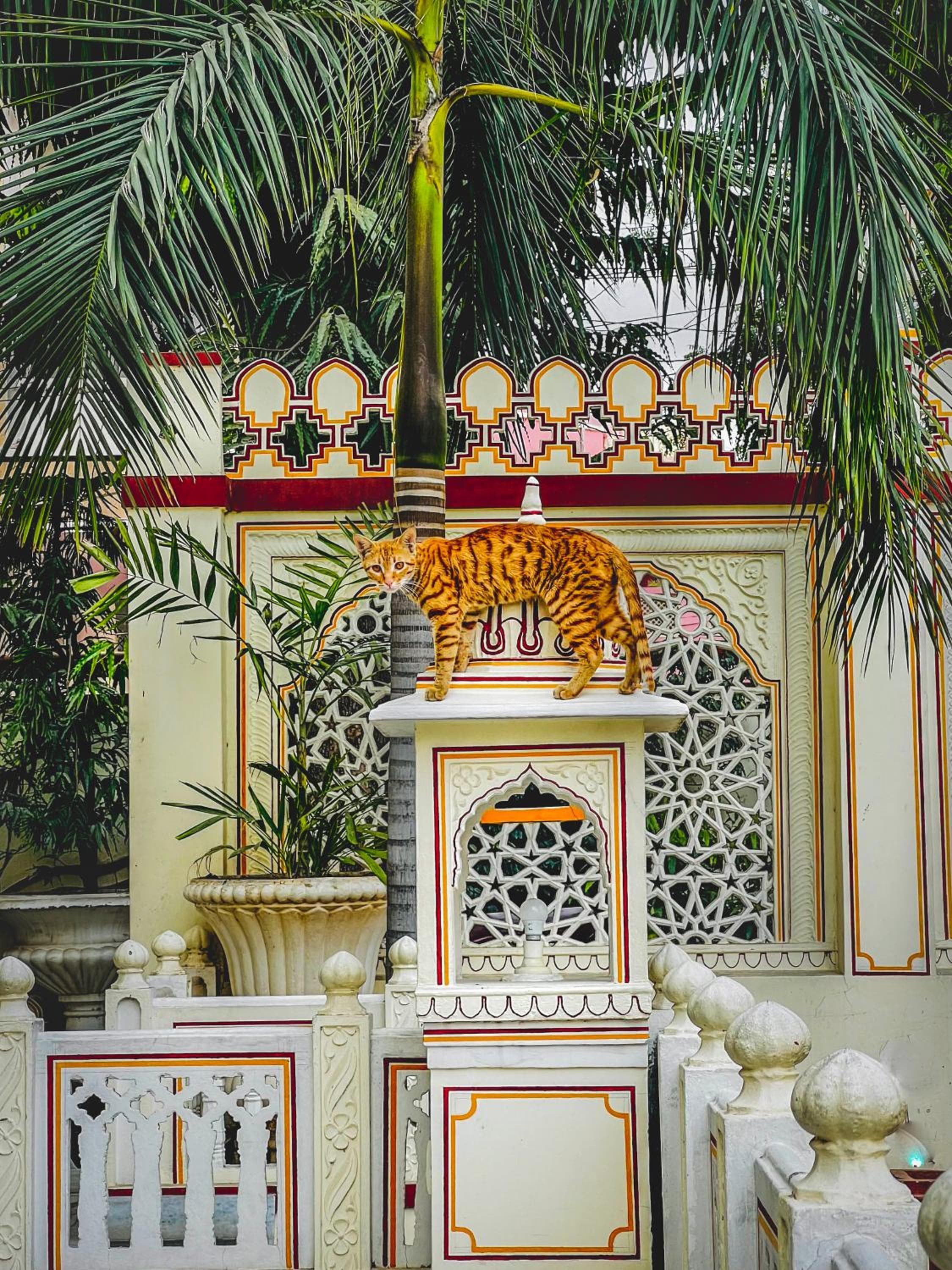 Krishna Palace - A Heritage Boutique Hotel