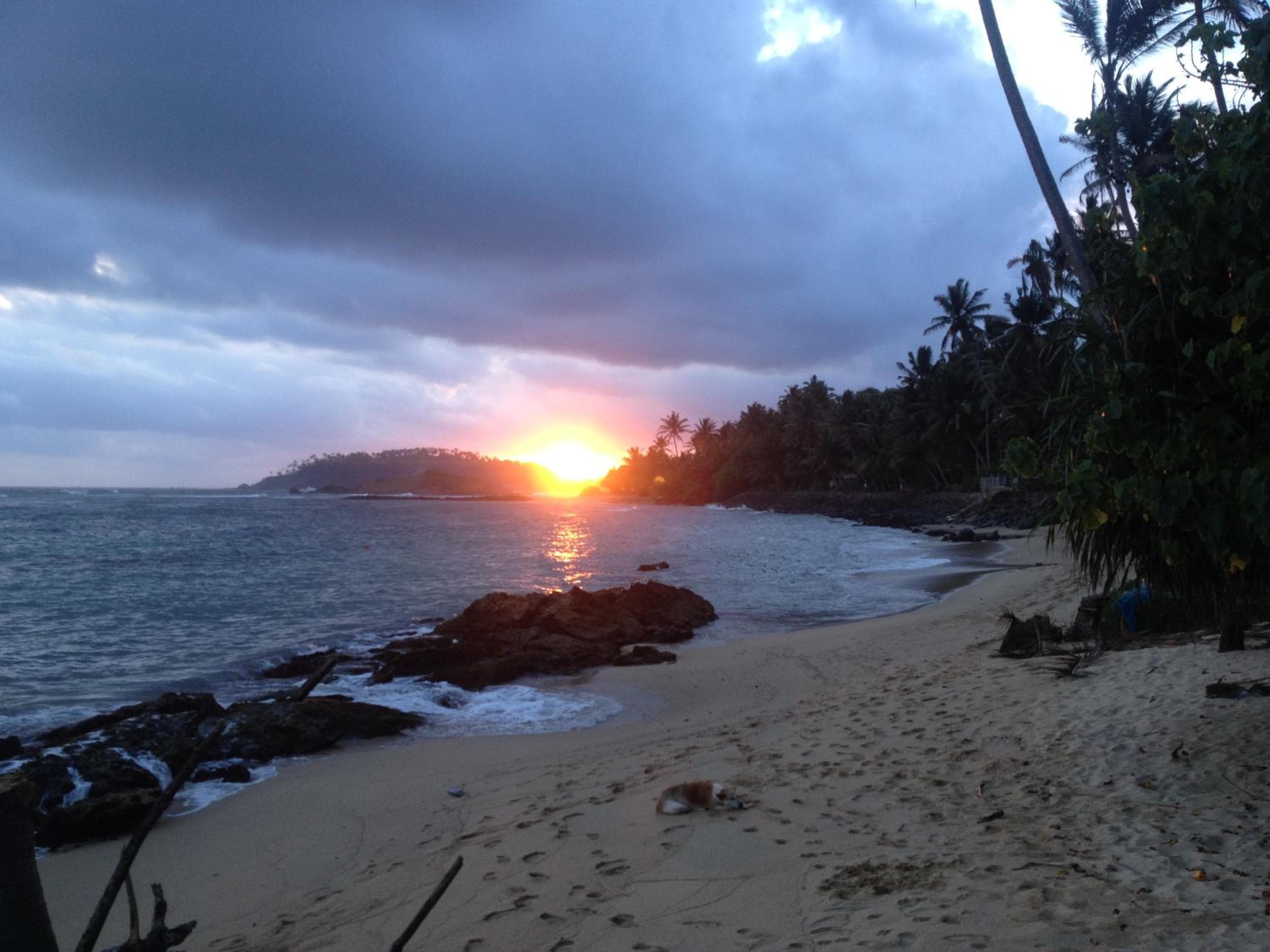 Mirissa Seastar