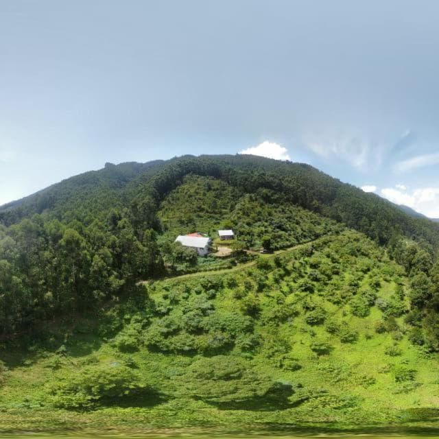 Fruitland Vattavada