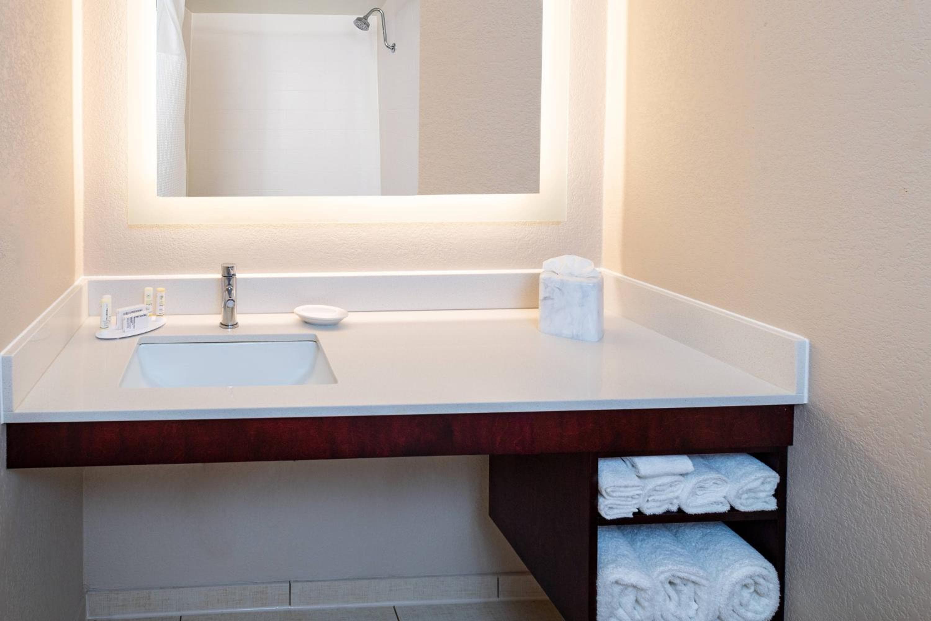 SpringHill Suites Houston Medical Center / NRG Park