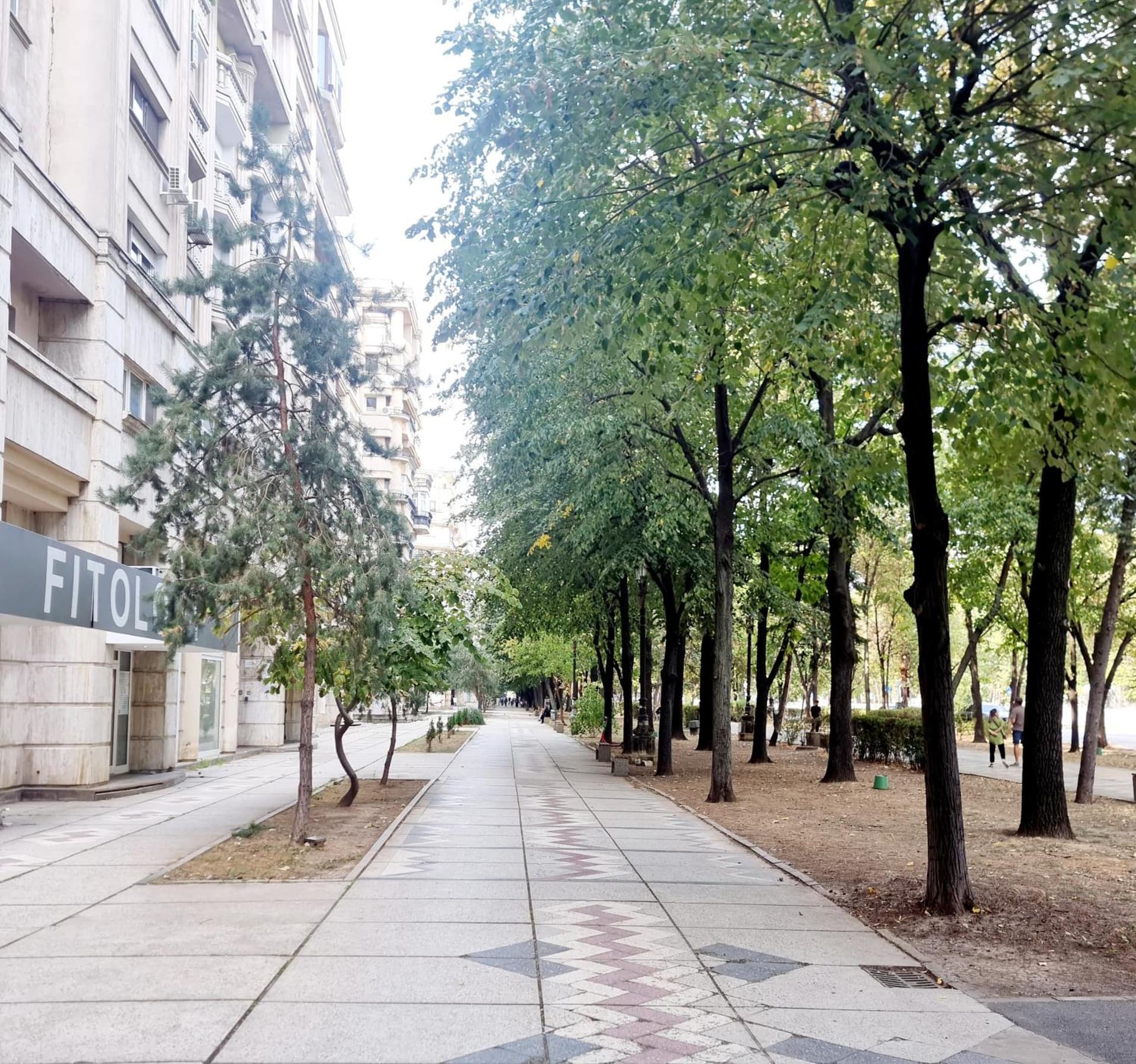 Elegant 2BR with Parking Parliament - Airy & Comfortable