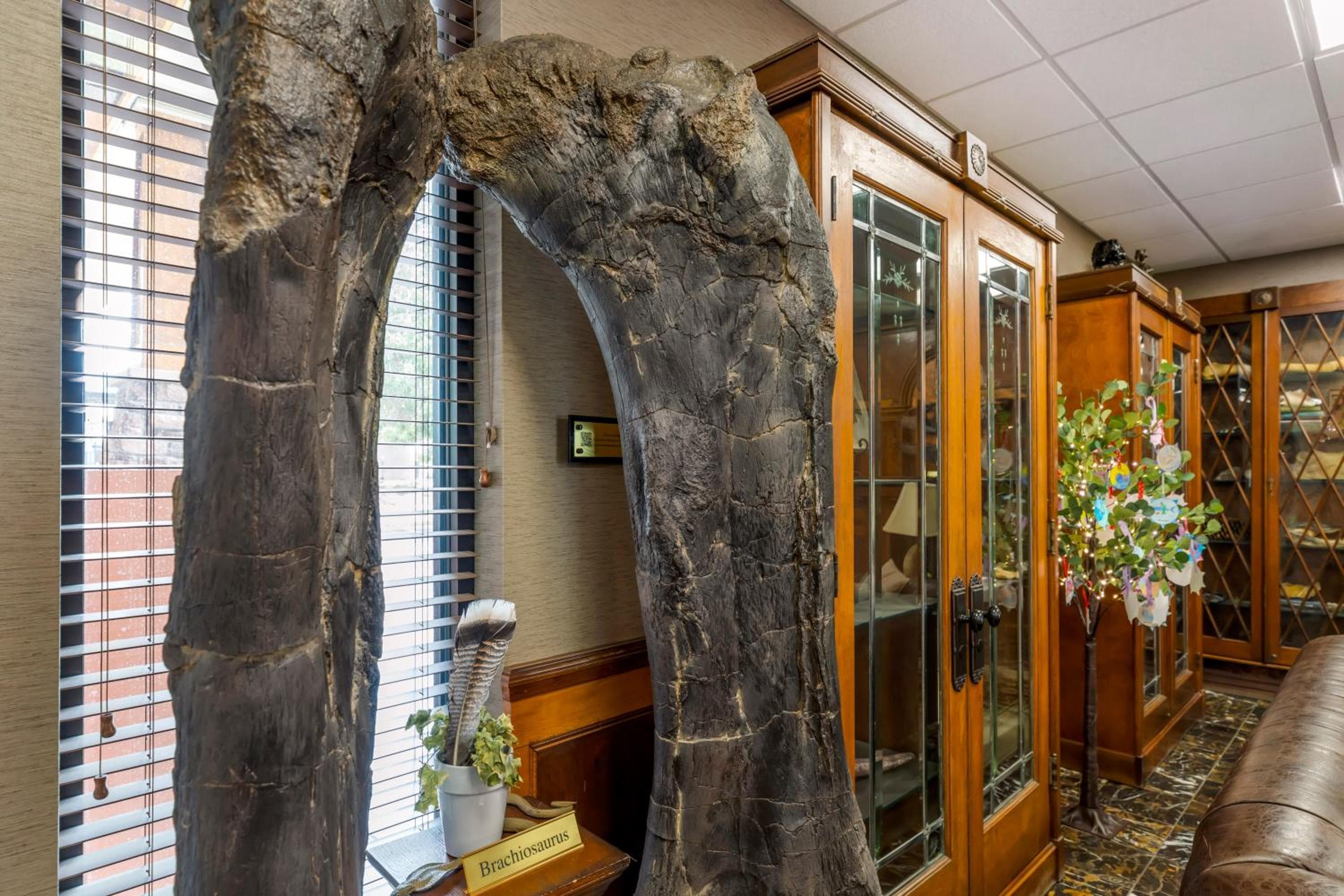 Best Western Denver Southwest