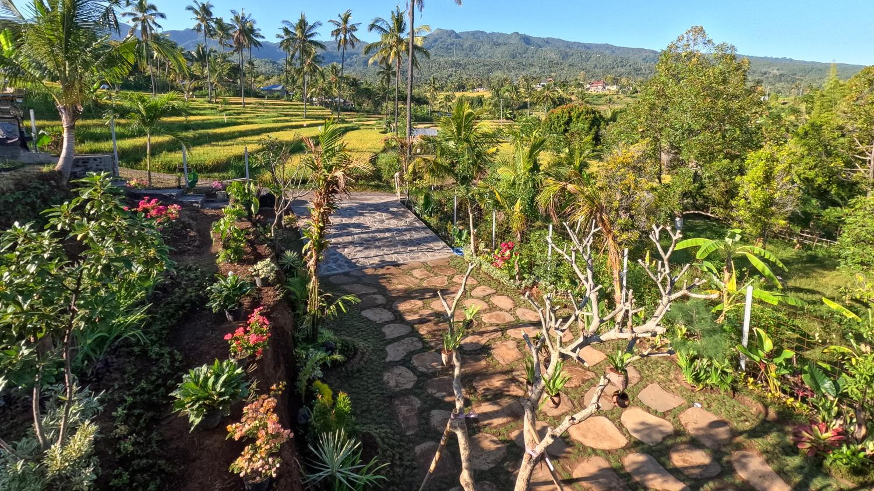 Kubu Sambangan Bali