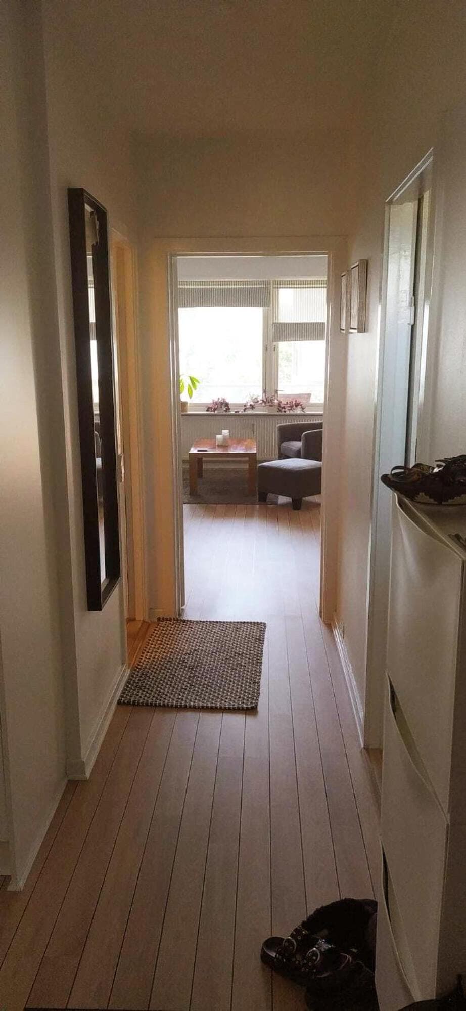 Sunny, spacious, and quiet apt