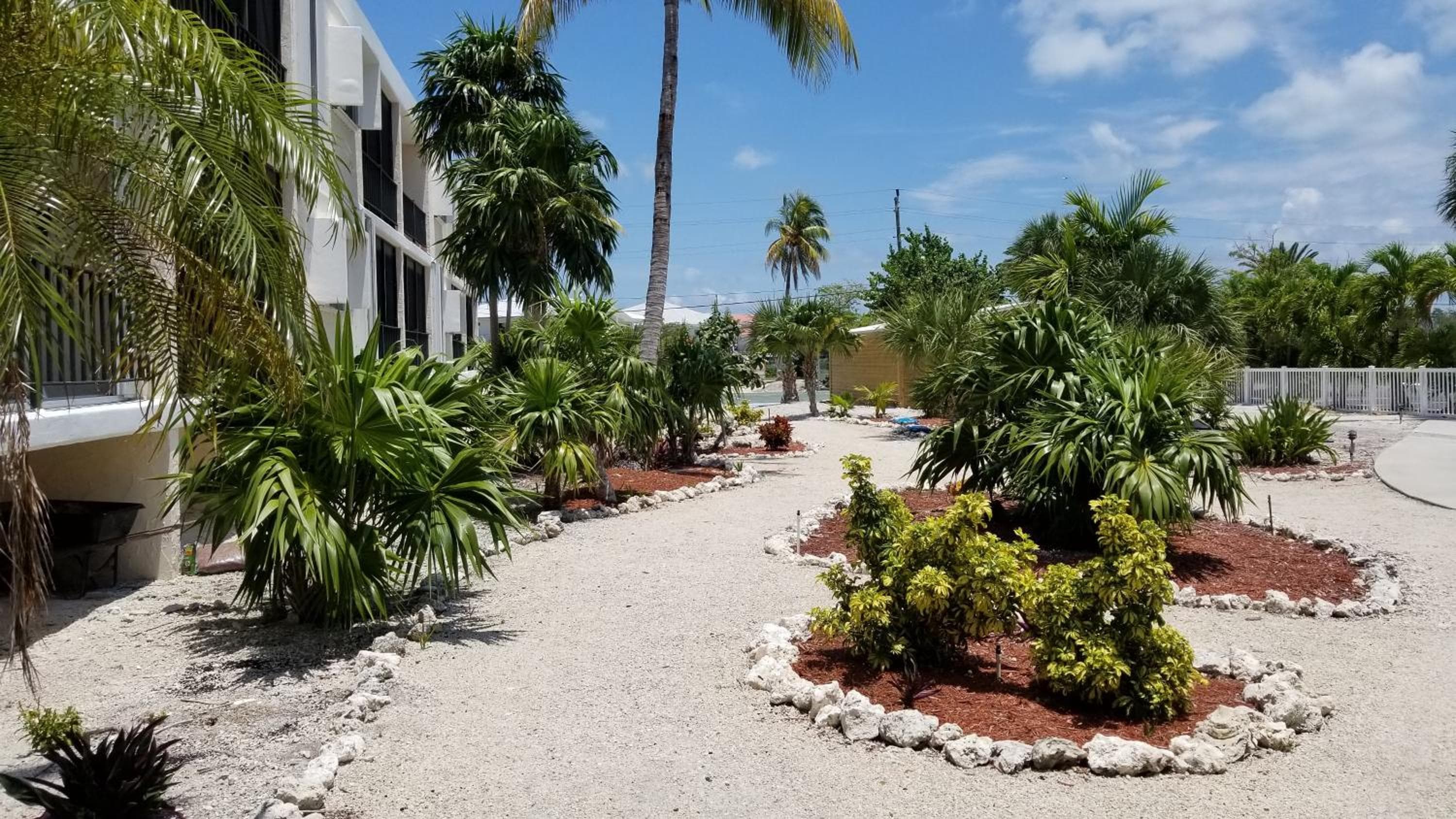 Beachfront Condo on Coco Plum Beach