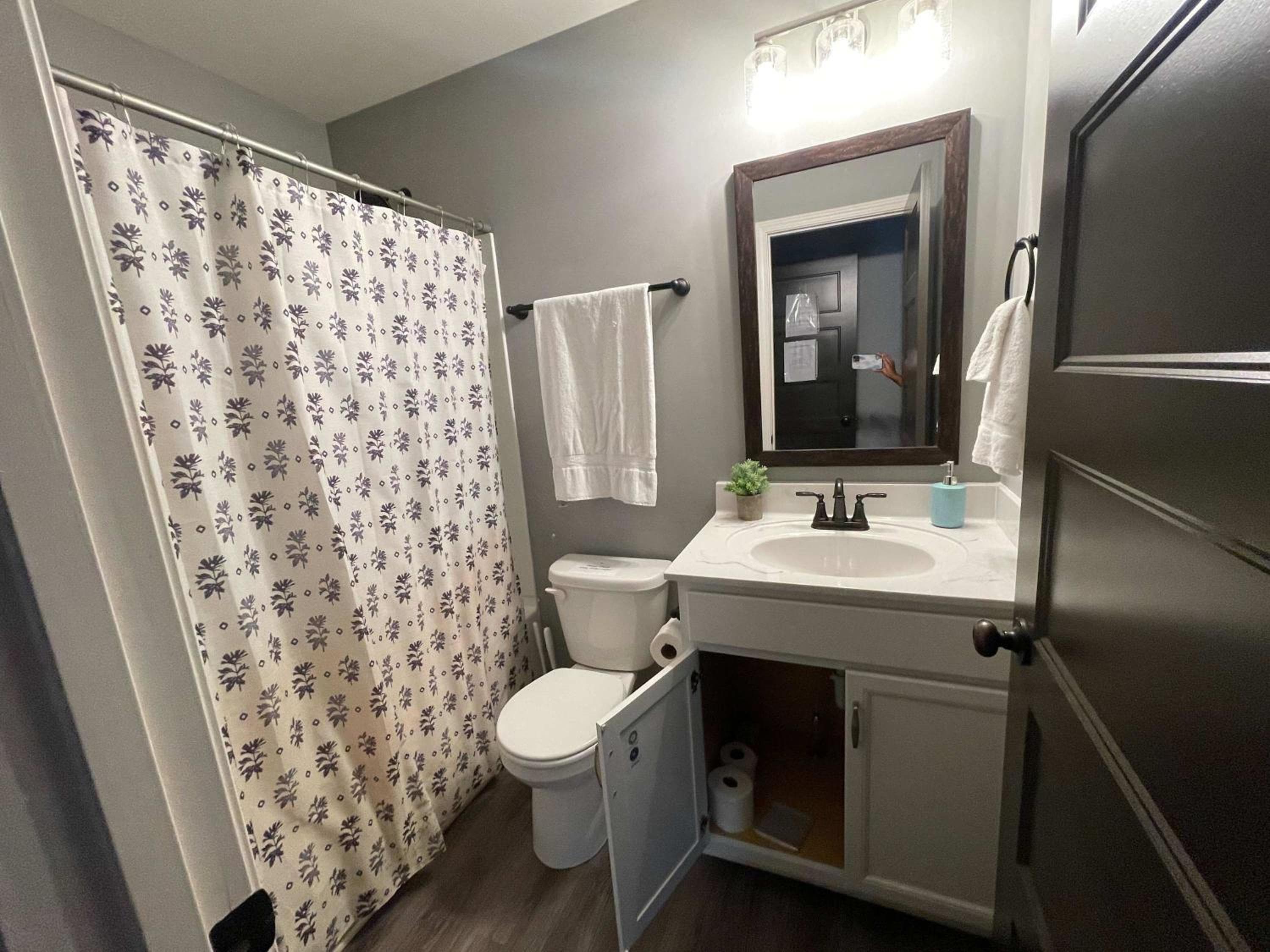 Dandy in Downtown Clarksville- - 3 miles from Downtown!