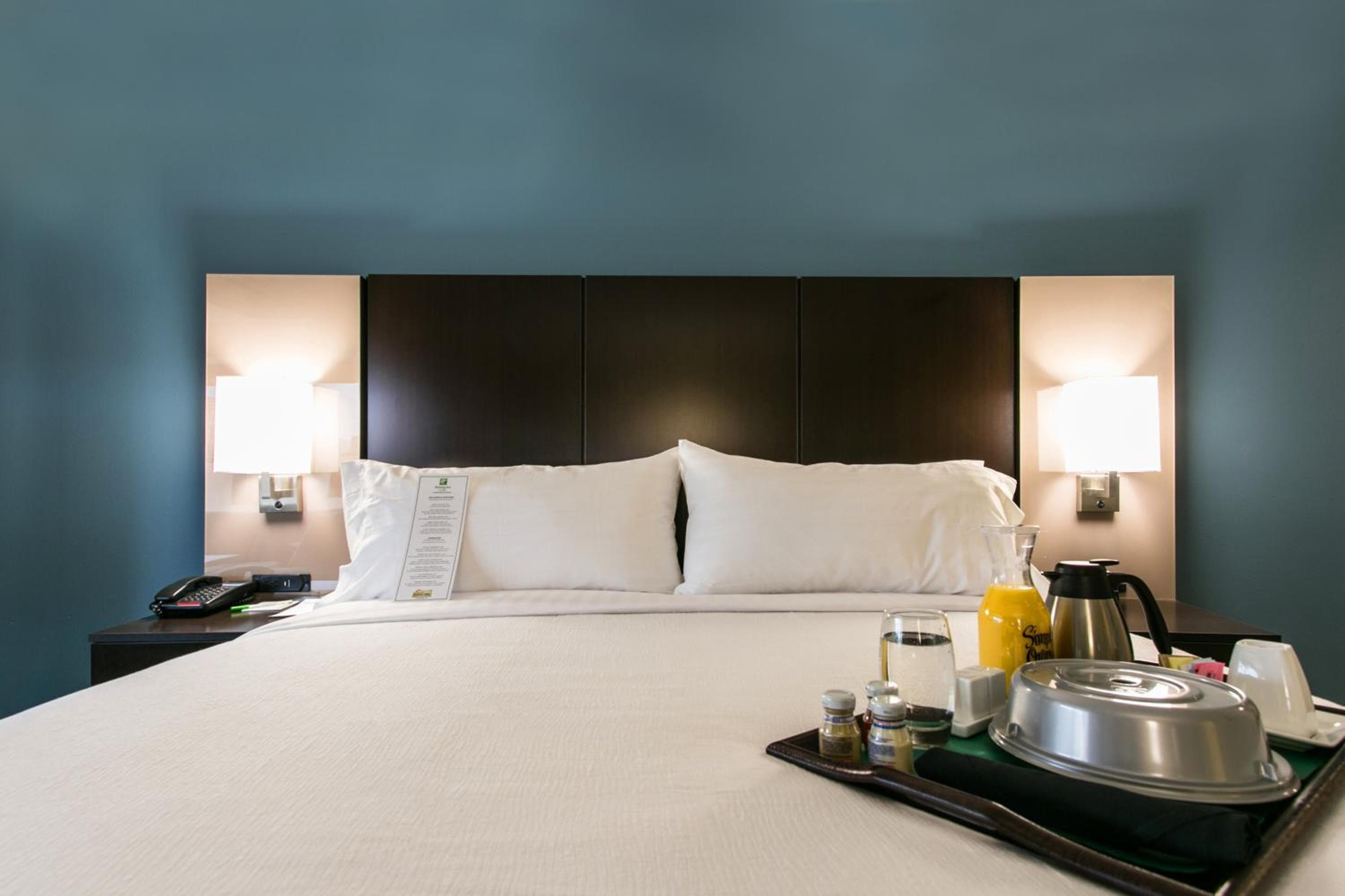 Holiday Inn & Suites Chattanooga Downtown by IHG