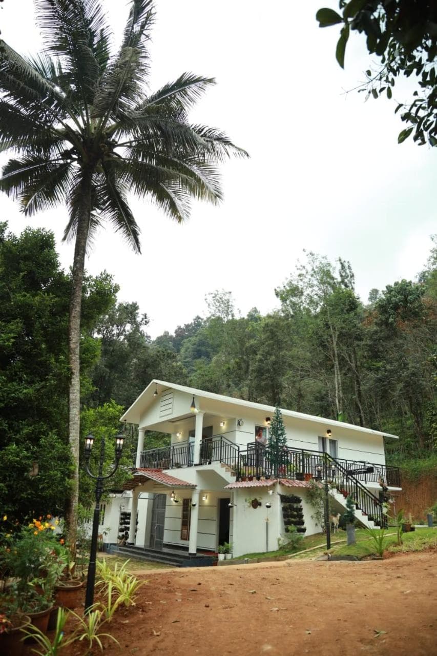 Pepper Tree Munnar