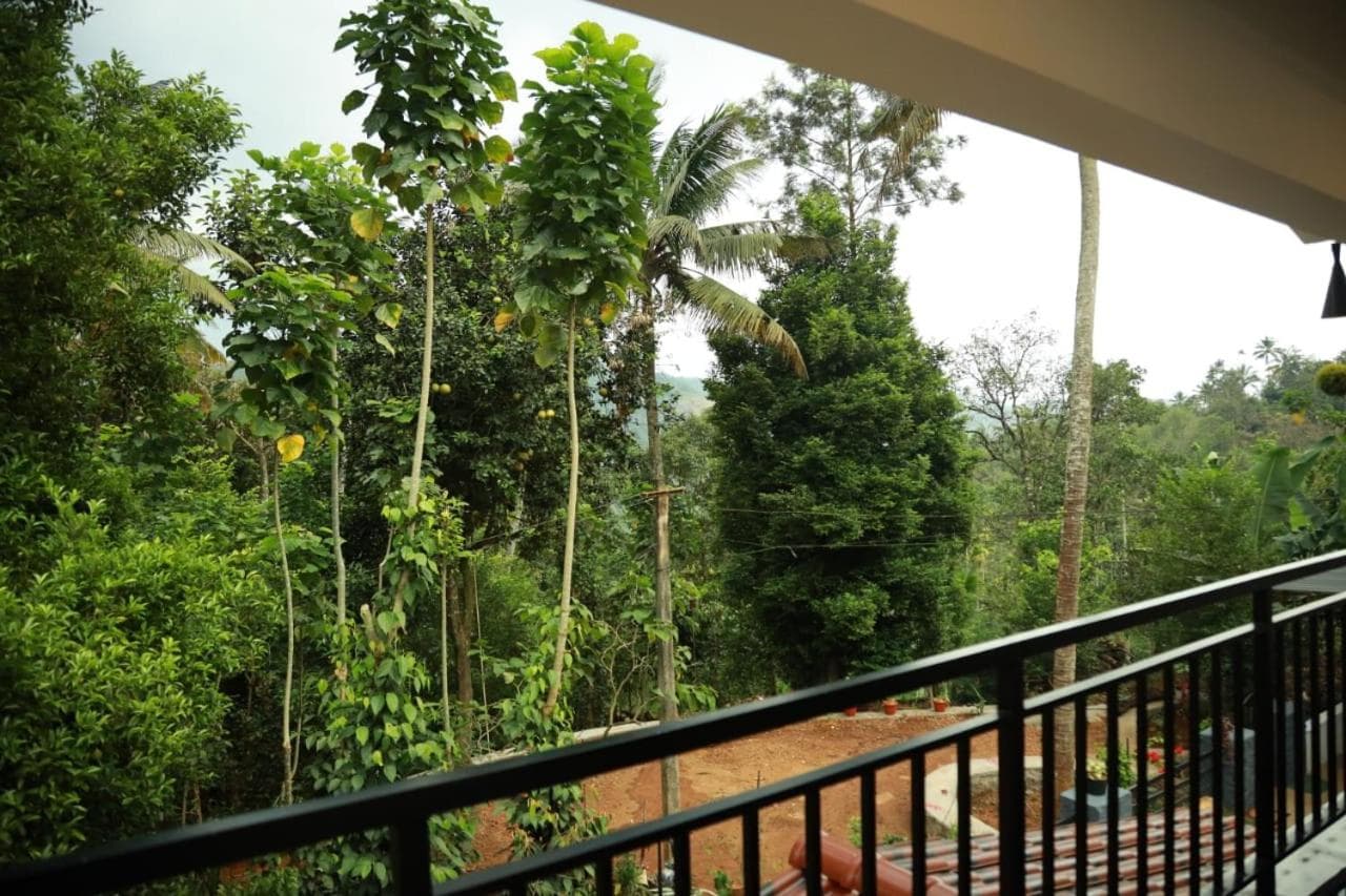 Pepper Tree Munnar