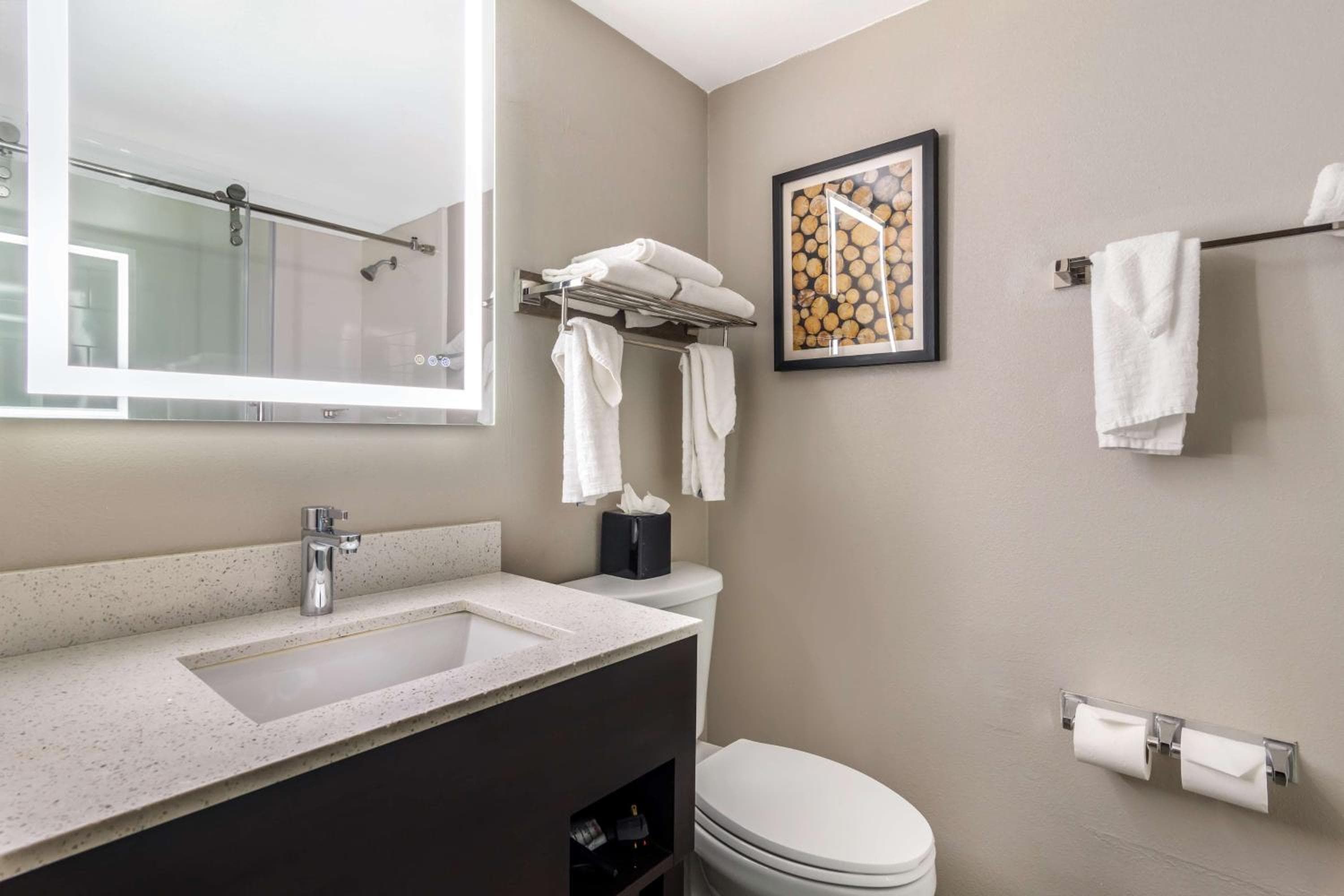 Best Western Atlanta-Marietta Ballpark Hotel