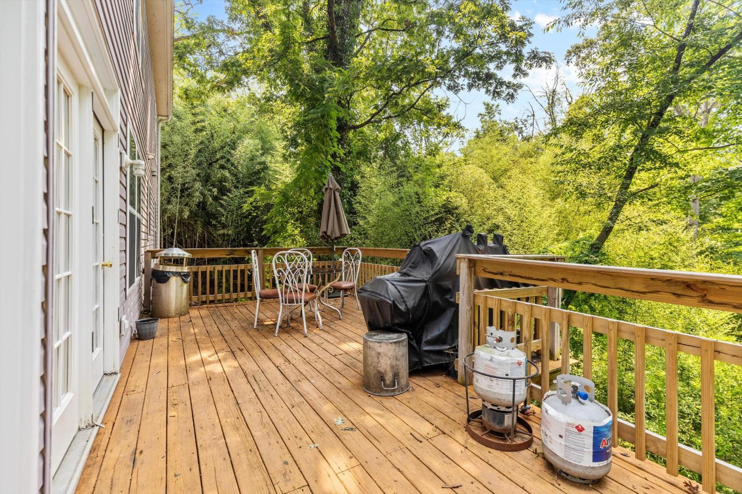 Entire 4-BR in Beloved DC Area Takoma Park