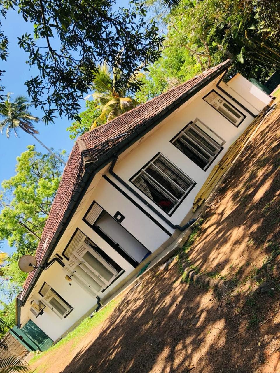 Jungle Club Villa