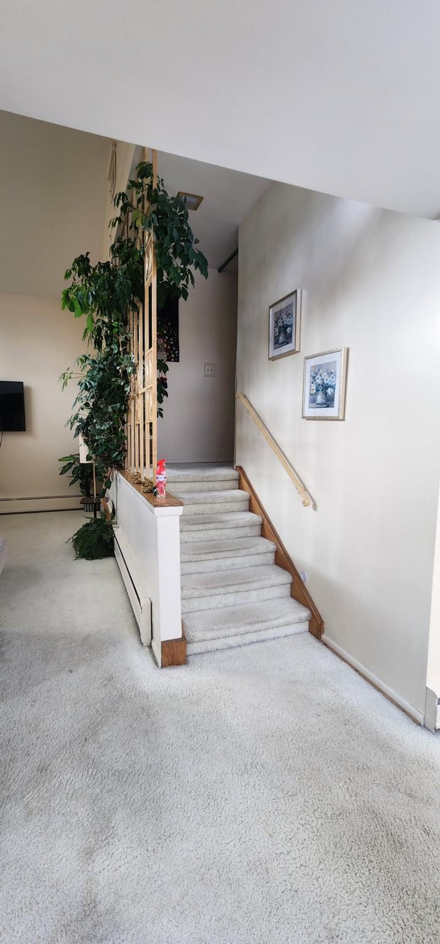 Cheerful 4 bedroom bungalow with indoor fireplace