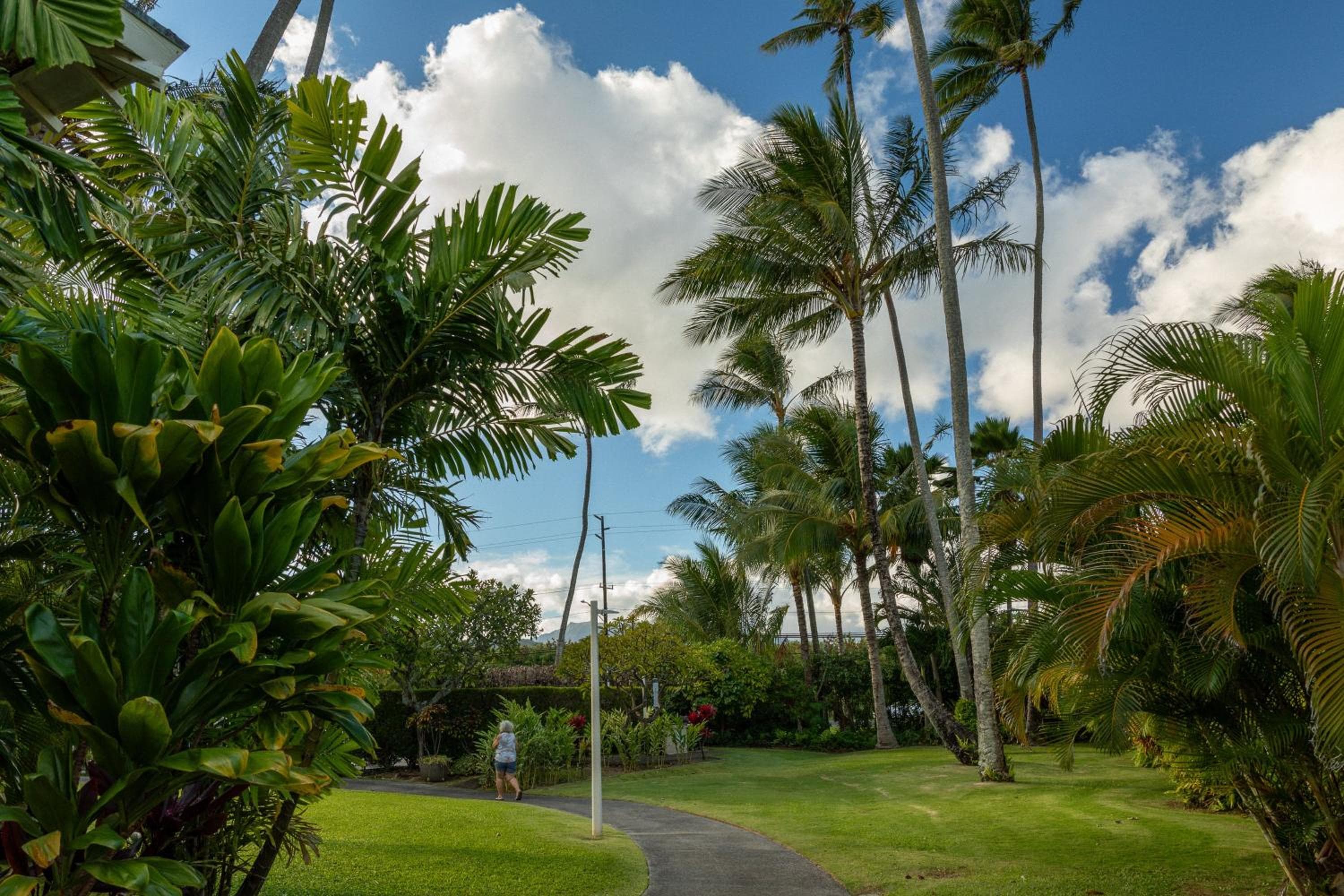 Plantation Hale Suites