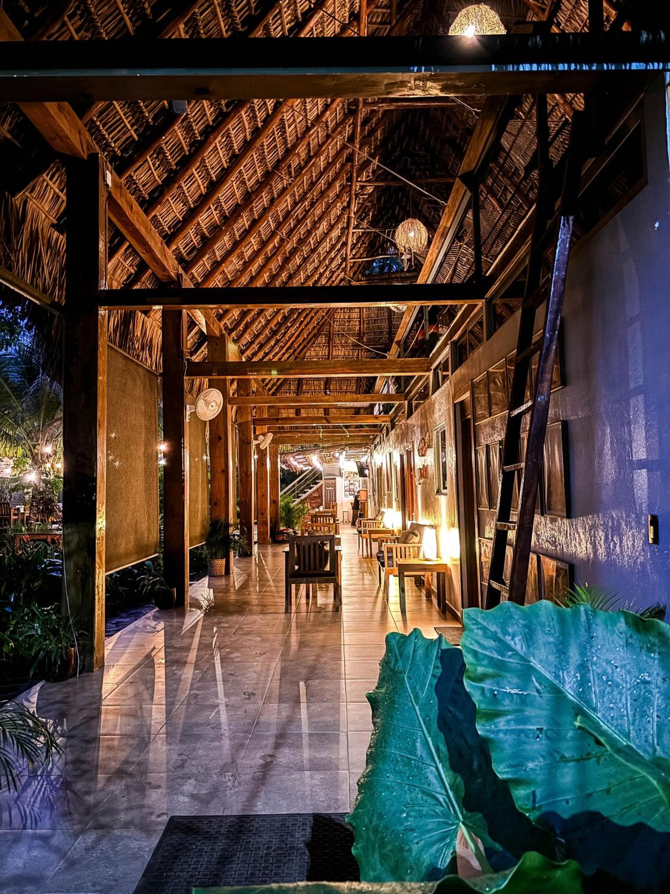 Hotel Michanti