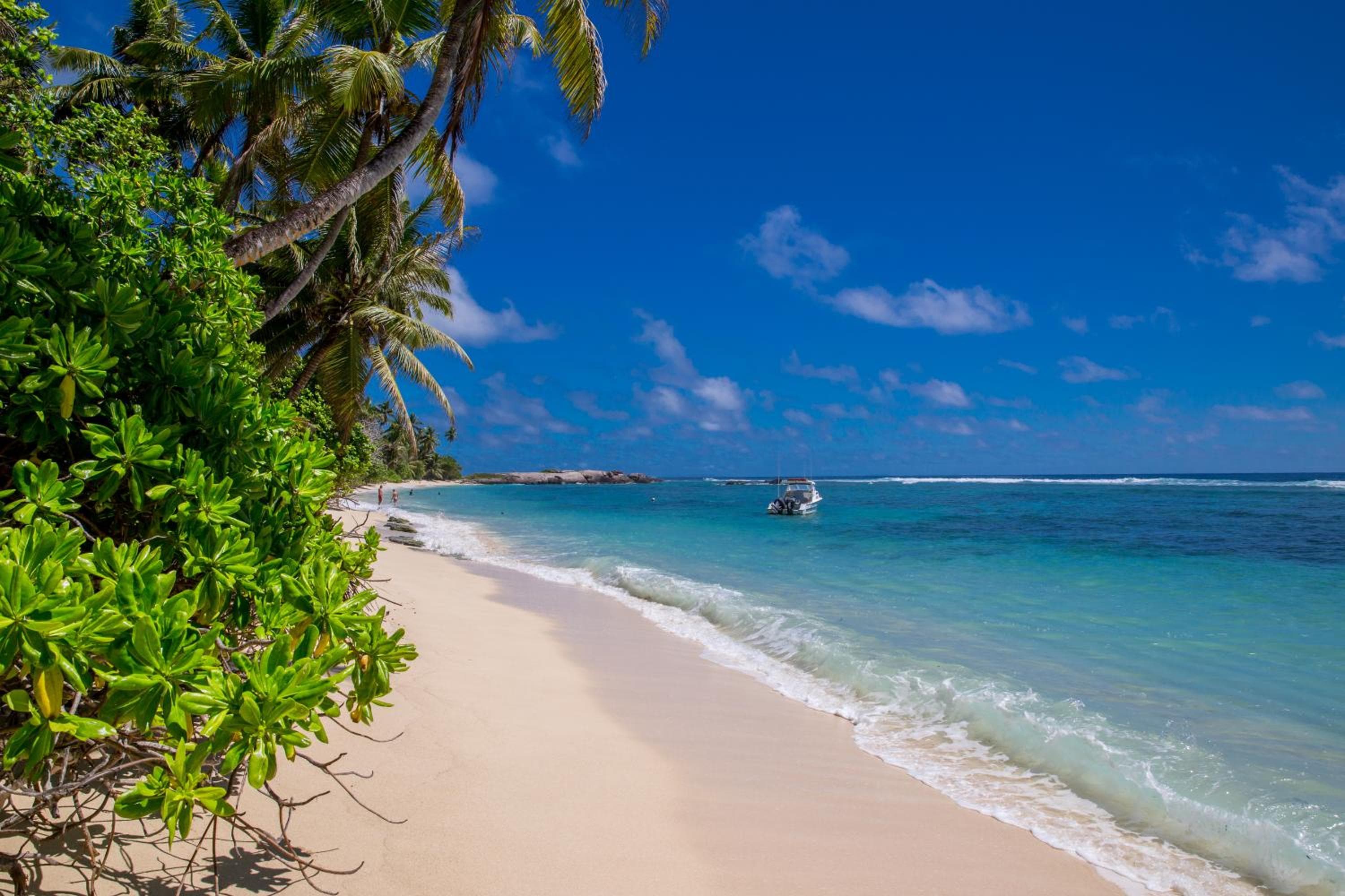 Chalets d'Anse Forbans SelfCatering