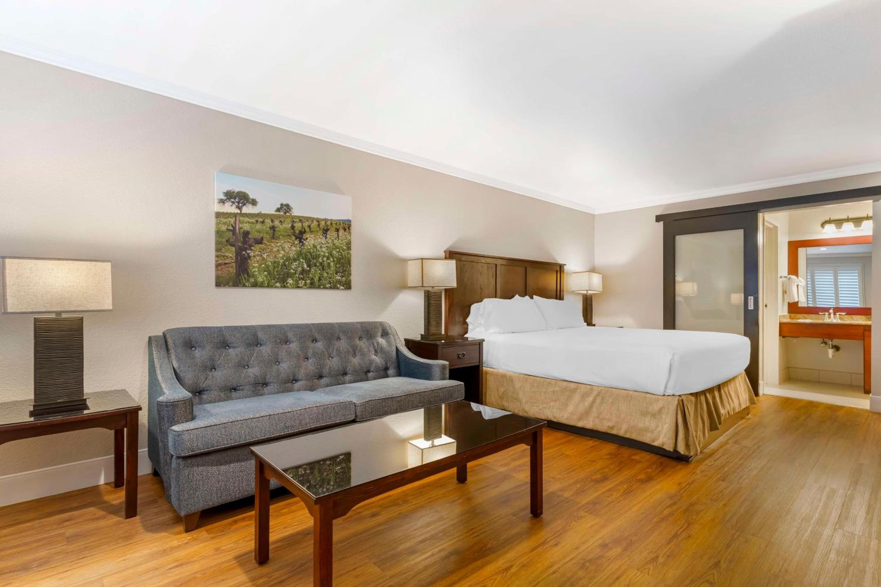 Dry Creek Inn MOD Collection by Sonesta