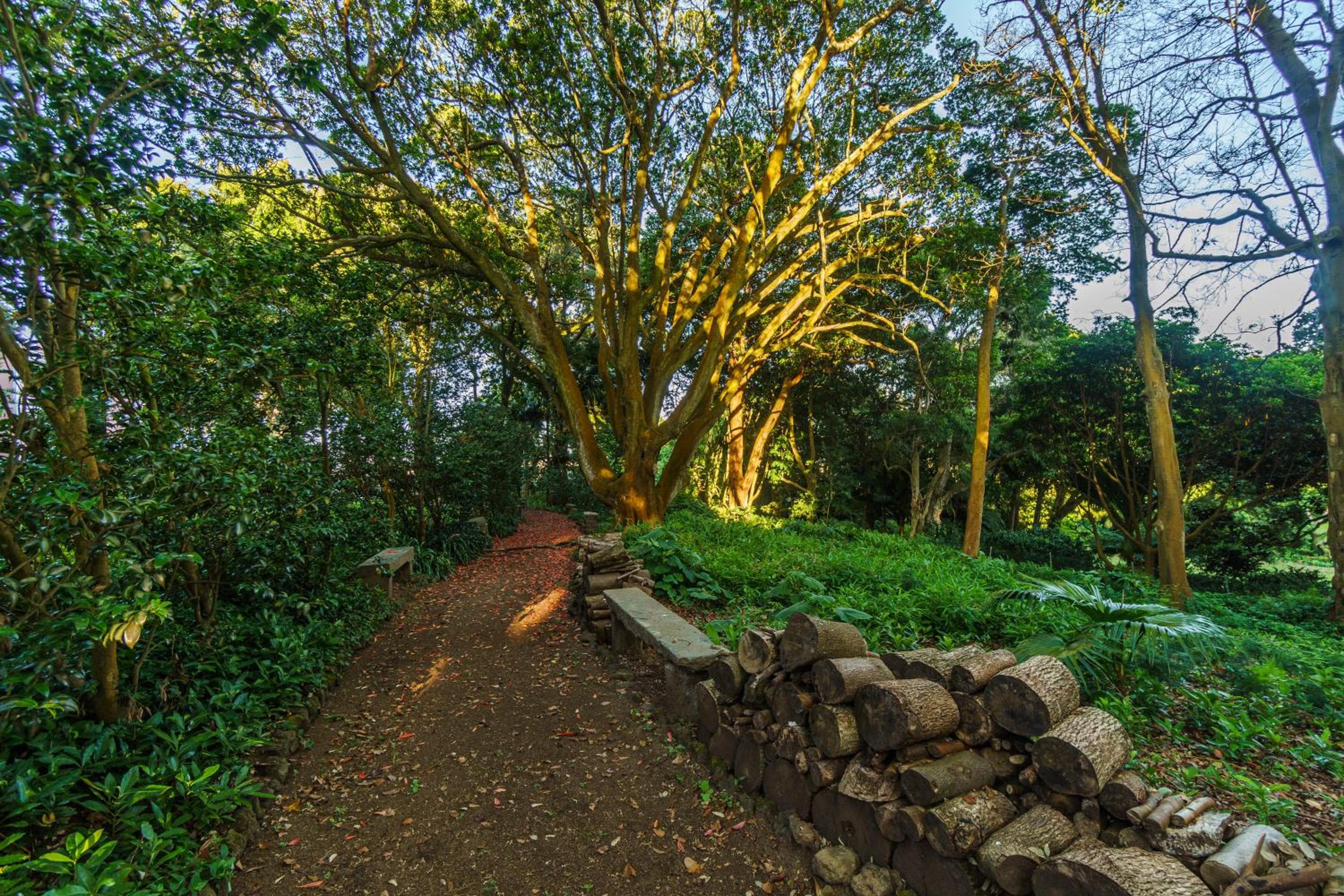 Solar dos Cantos Botanic House & Garden