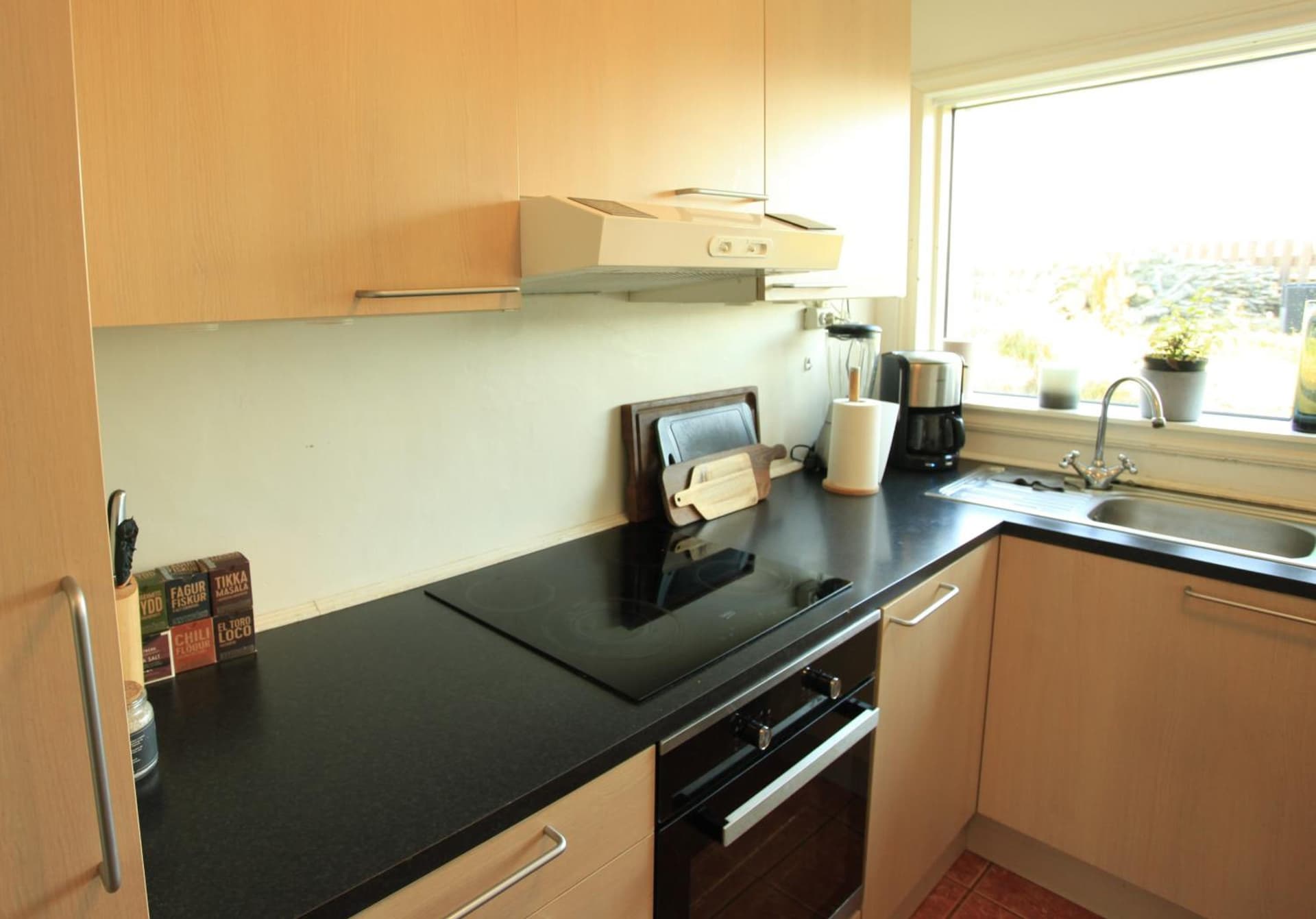 Comfortable 1 bedroom condo close to center