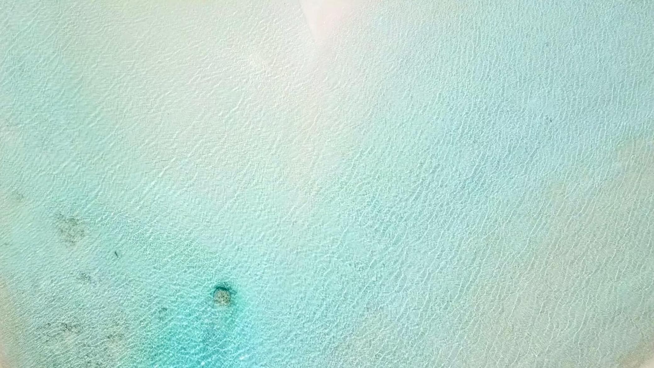 Fare One Island Moorea