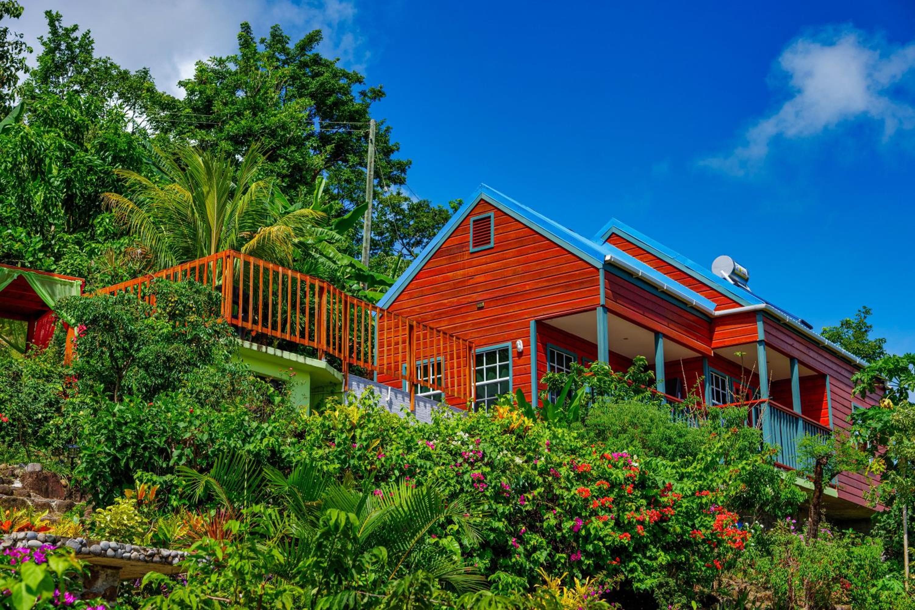 Tropical Paradise View