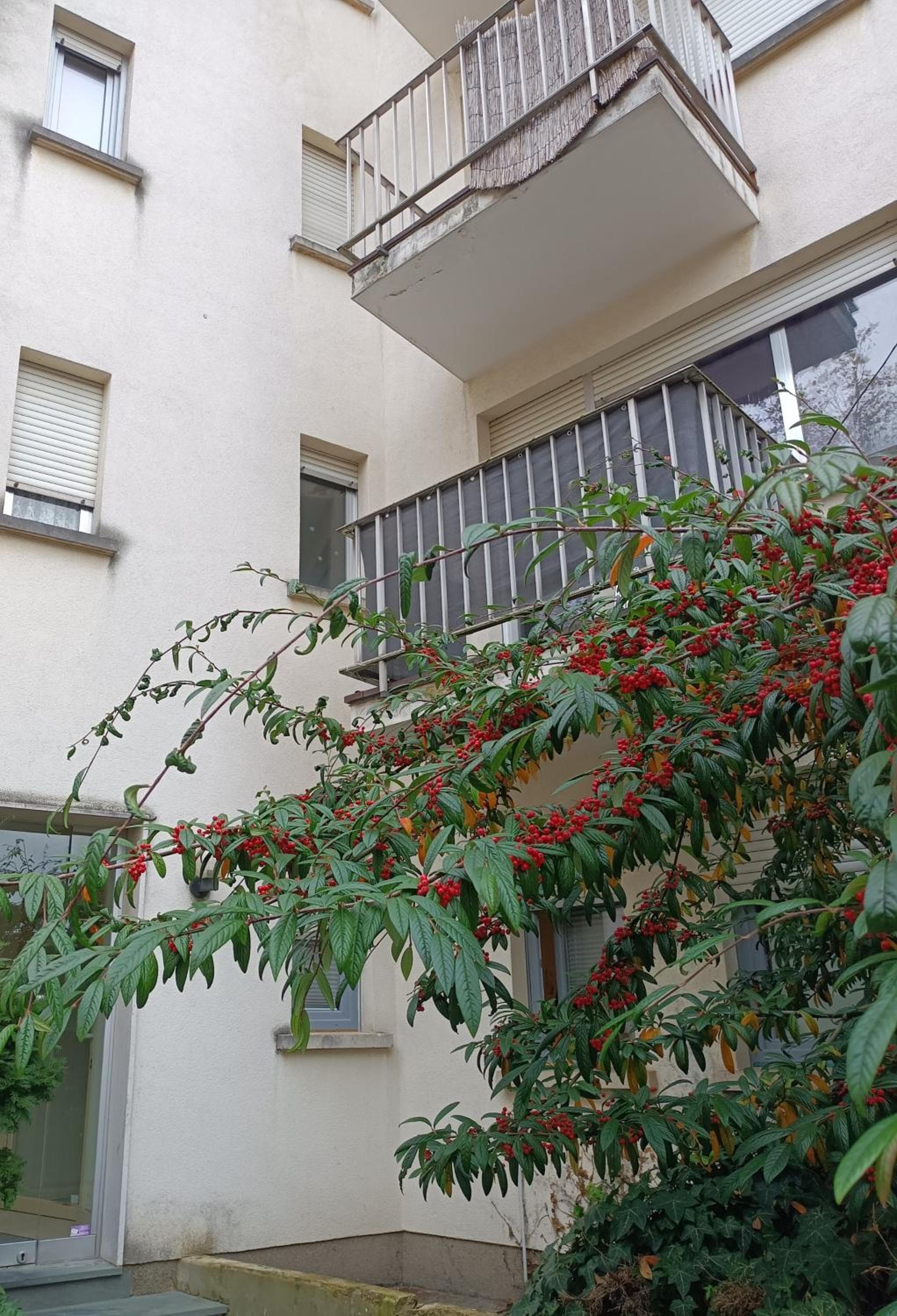 Casa Limpertsberg