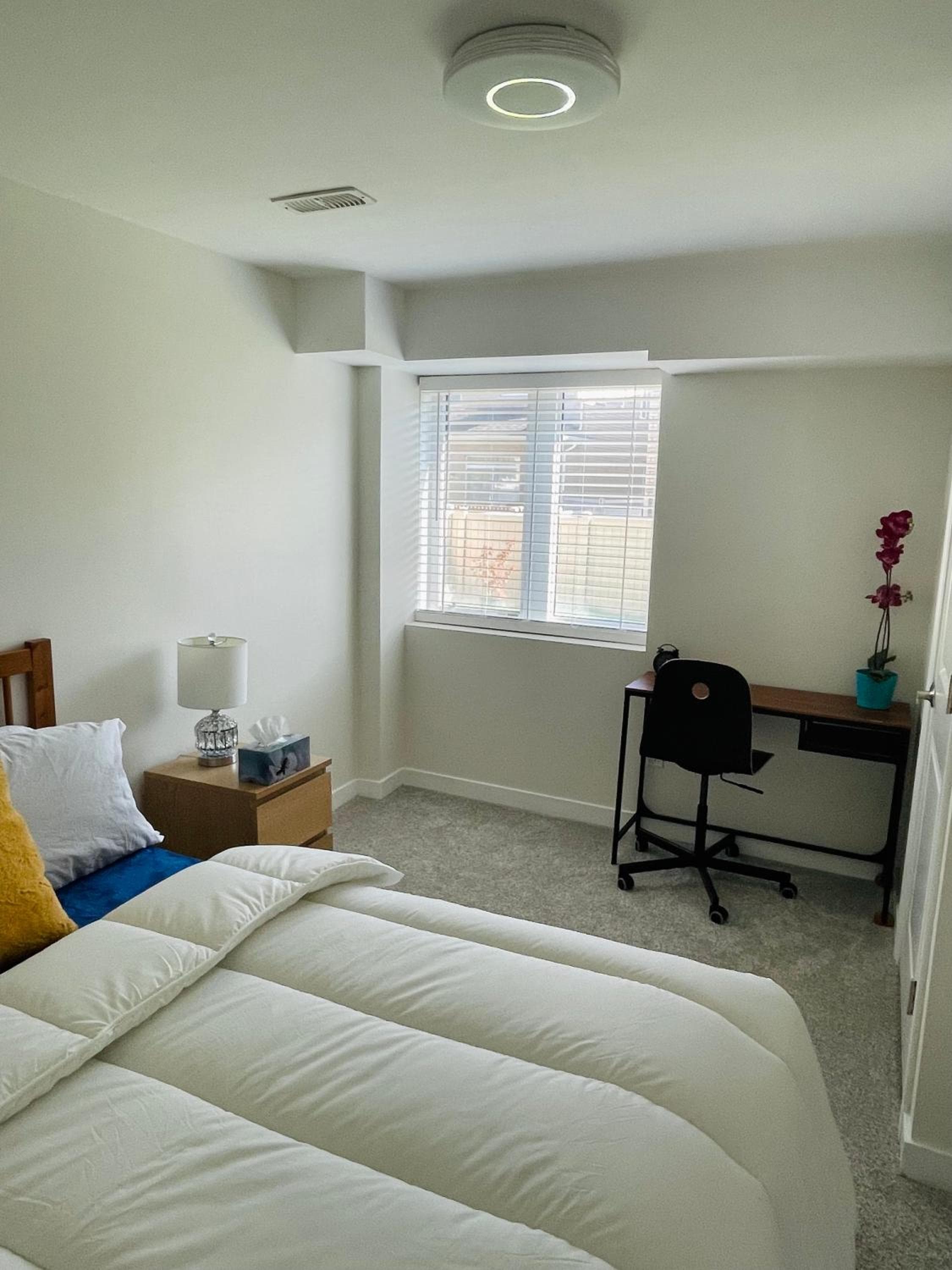 New Cosy bright and Spacious Apartment