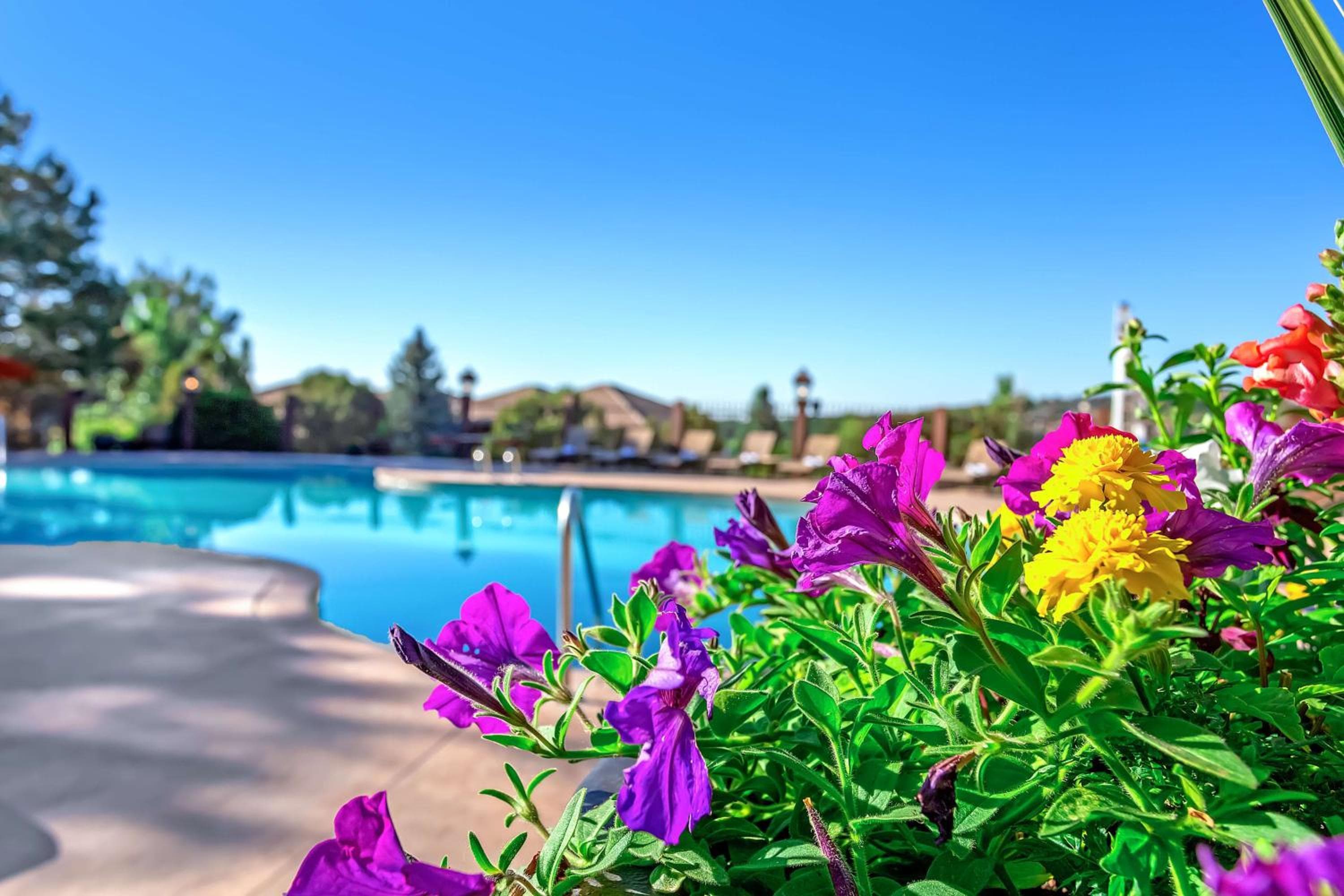 Cheyenne Mountain Resort, a Destination by Hyatt Hotels
