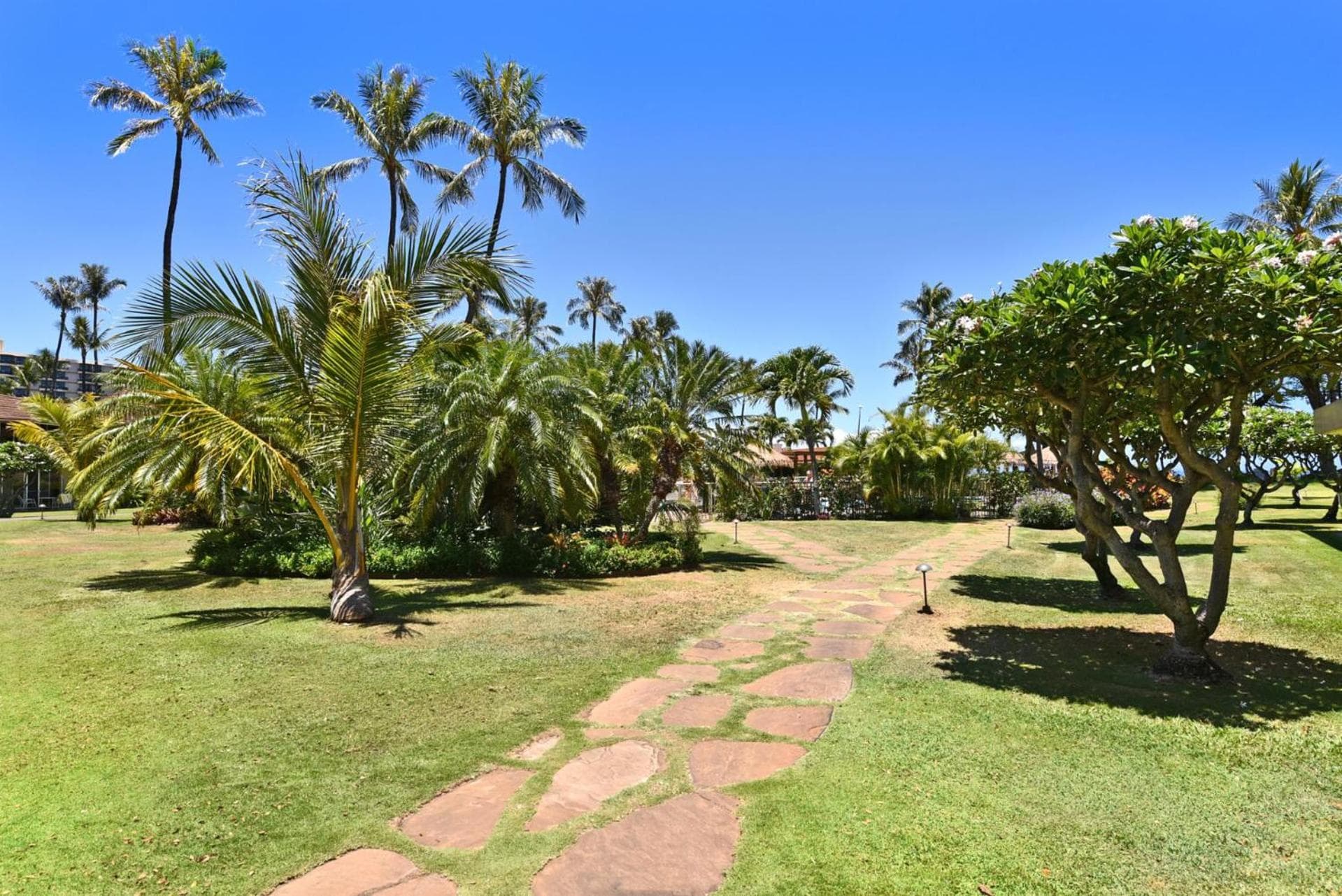 KBM Resorts FREE CAR Maui Kaanapali Villas Renovated Studio Near Beach Central AC MKV-B247