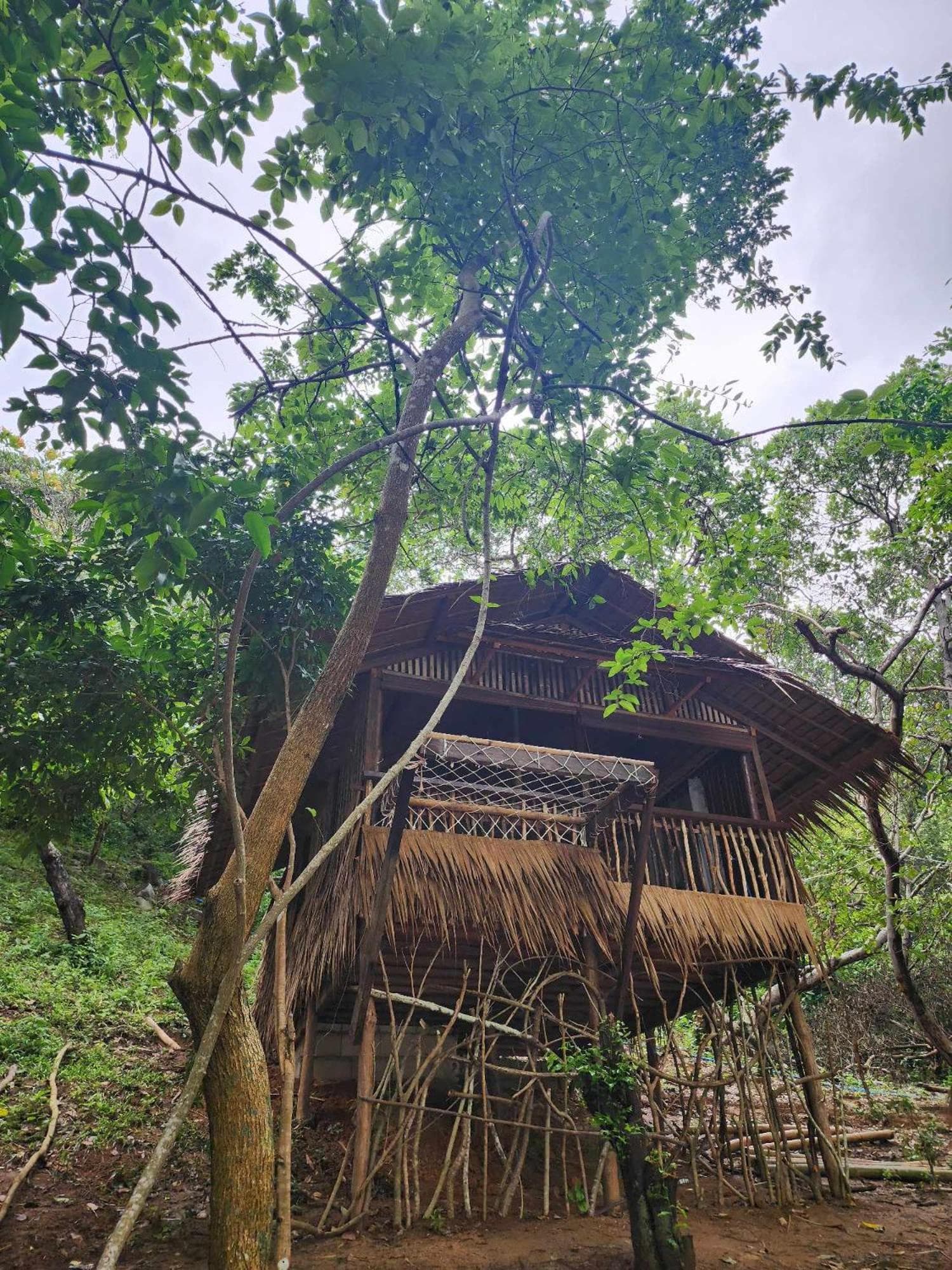 Richcoast Darocotan El Nido
