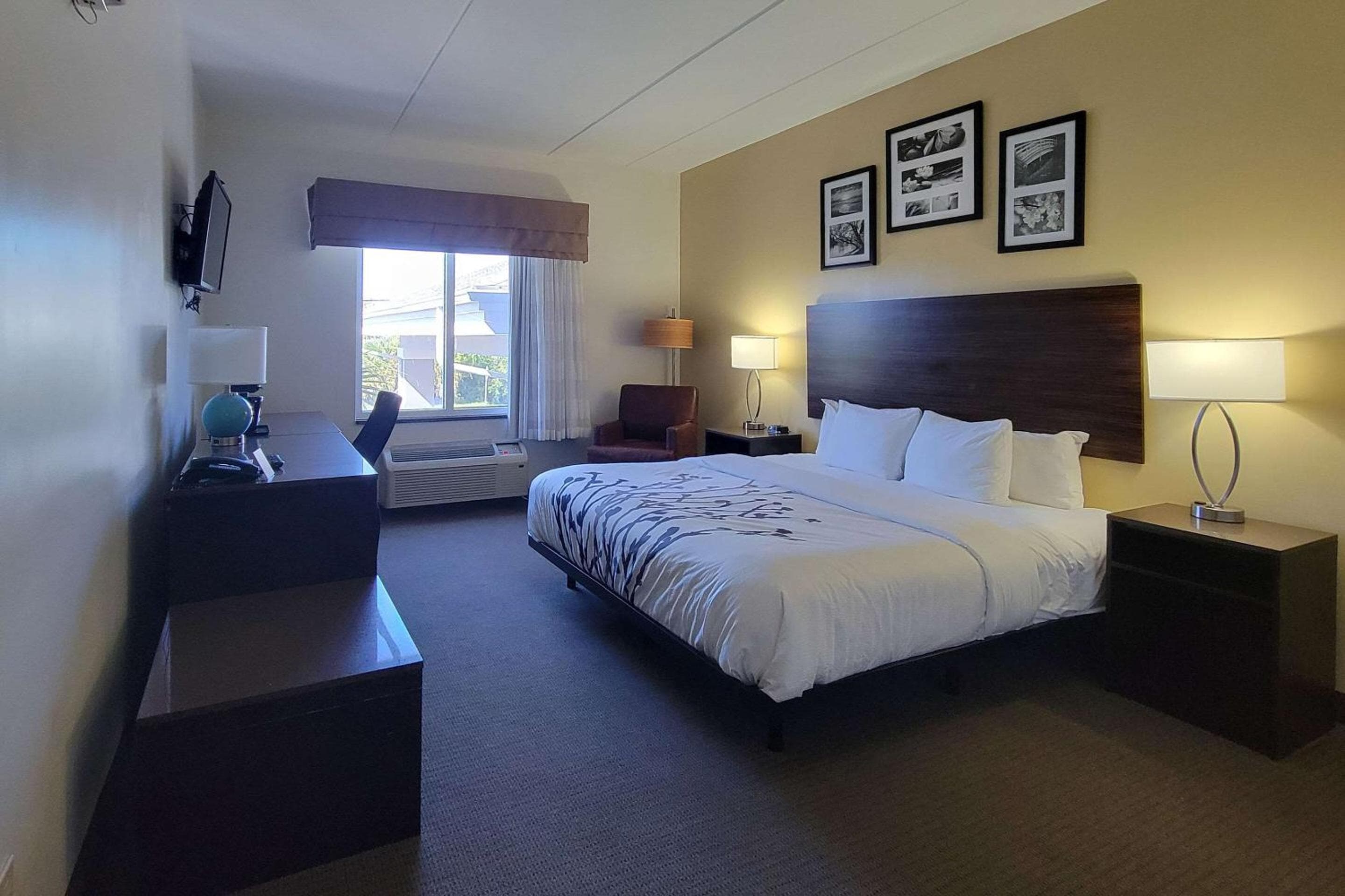 Garner Hotel Panama City Beach Northeast by IHG