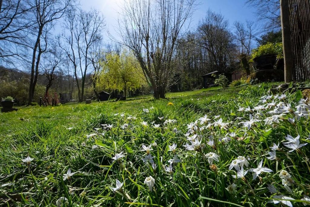 White Hill Lodge - rustic cabin set in a stunning meadow