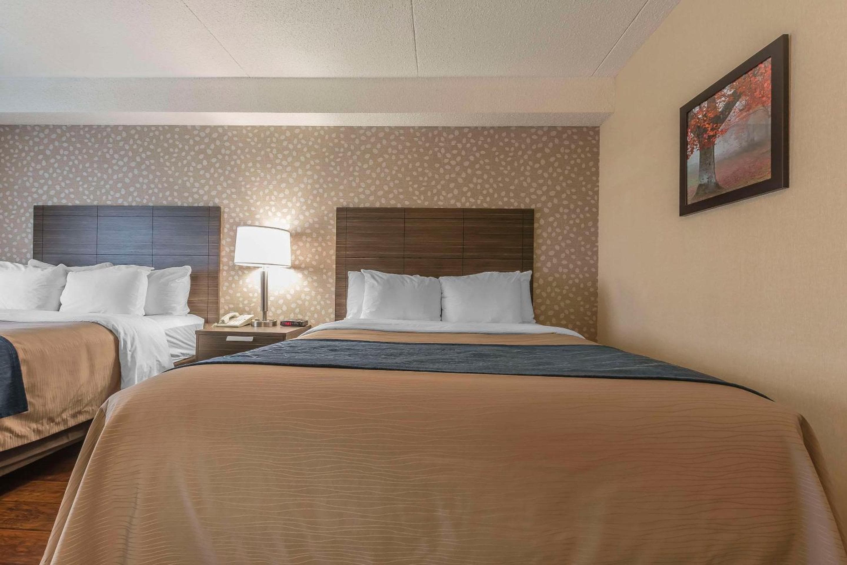Comfort Inn