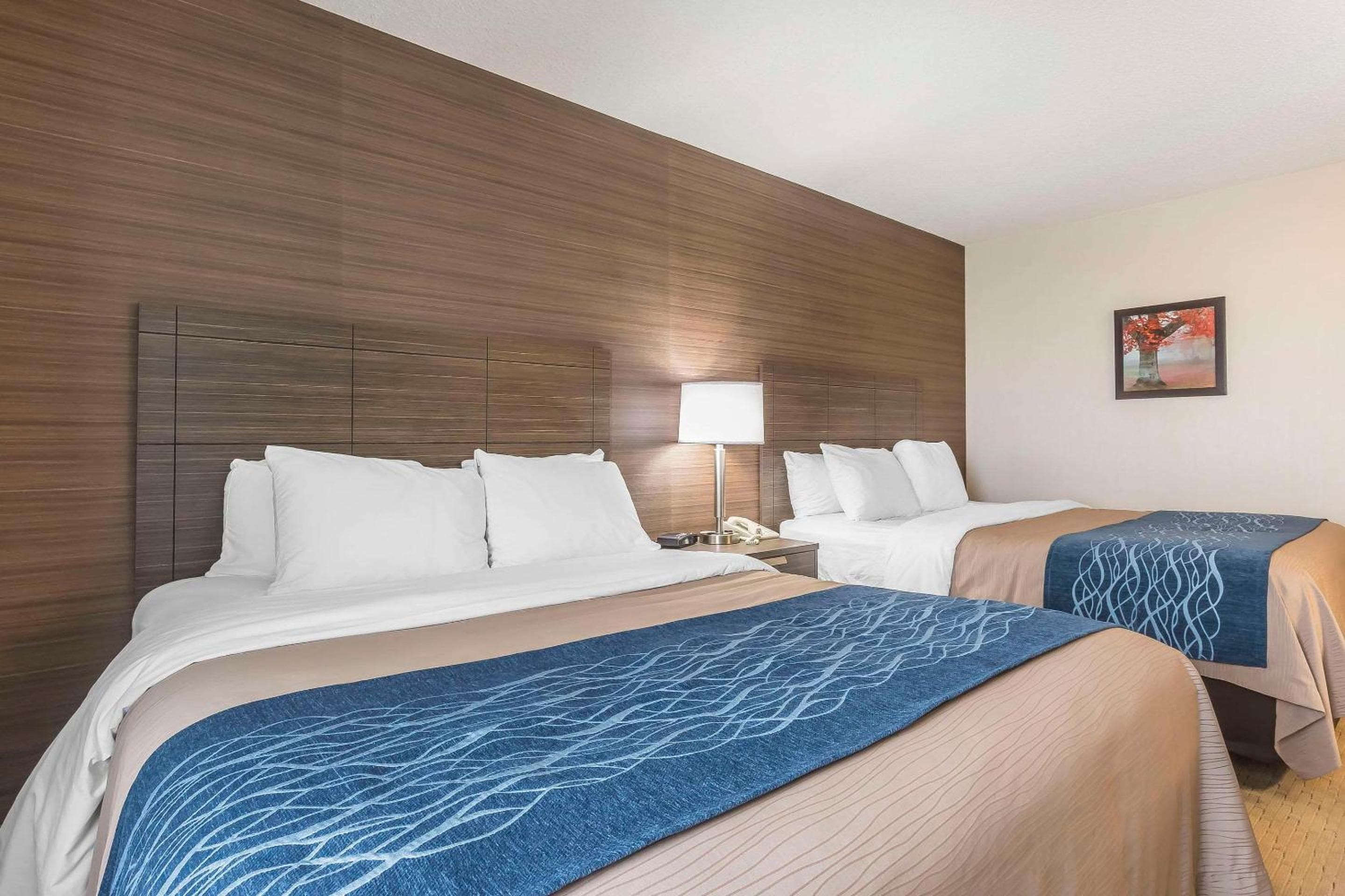 Comfort Inn