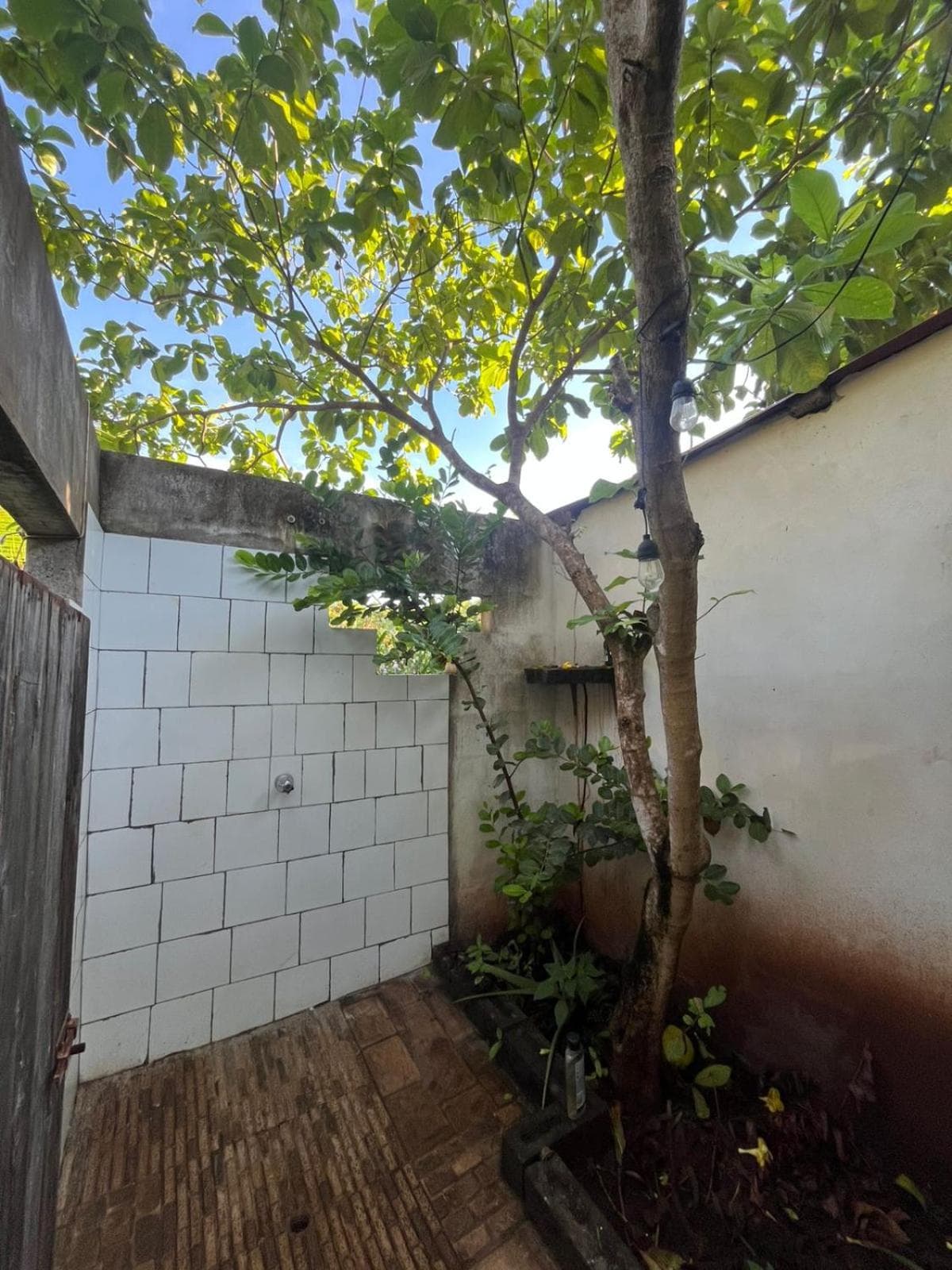 Casa Manguj Surf