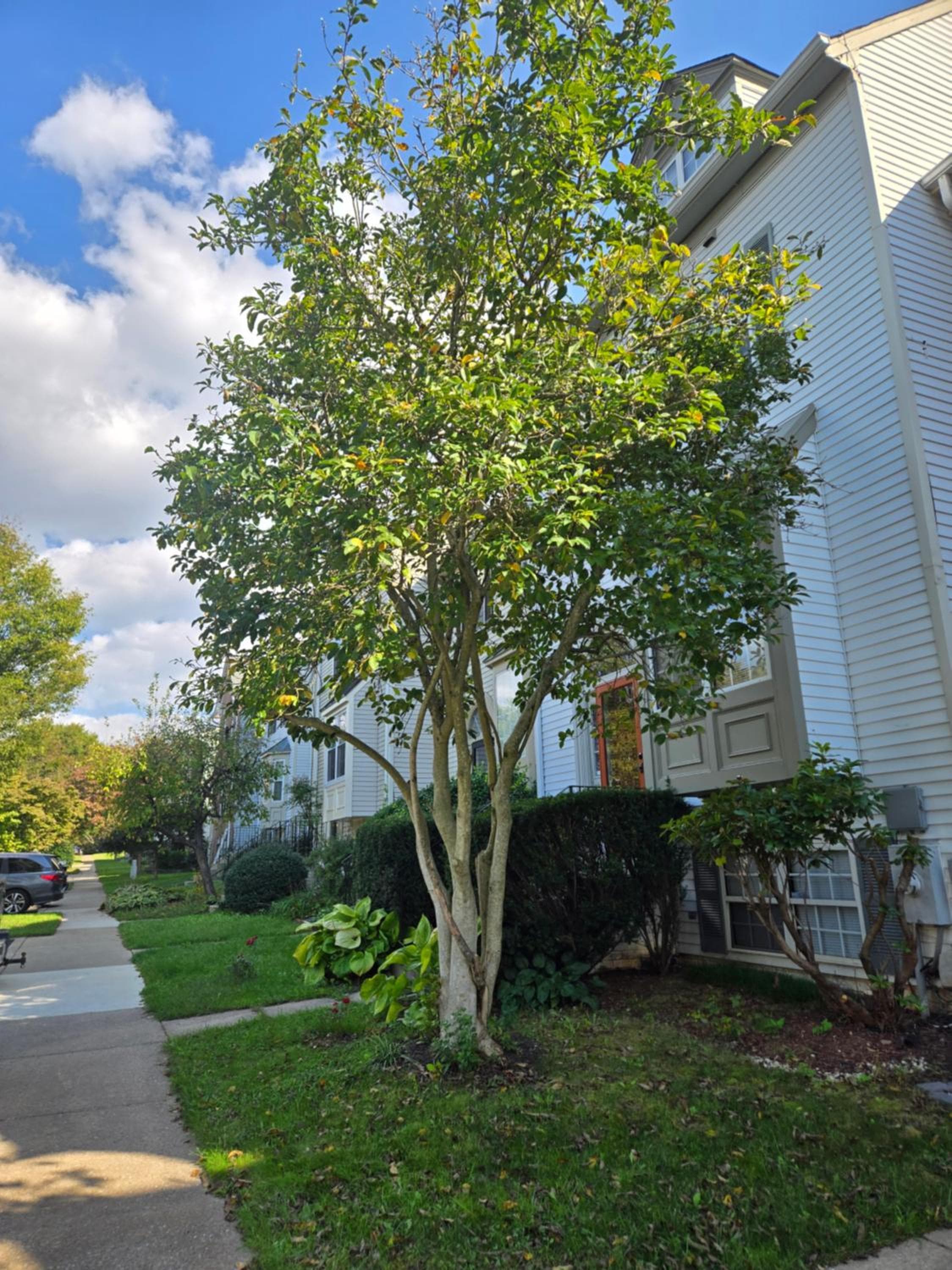 Spacious Quiet 3 Bedrooms and 4 Bathrooms Townhome 40 mins from DC Free Parking and Pet Friendly