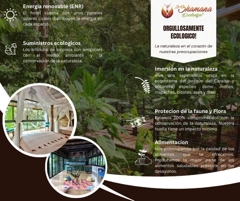 La Shamana - Ecological Concept in Jungle
