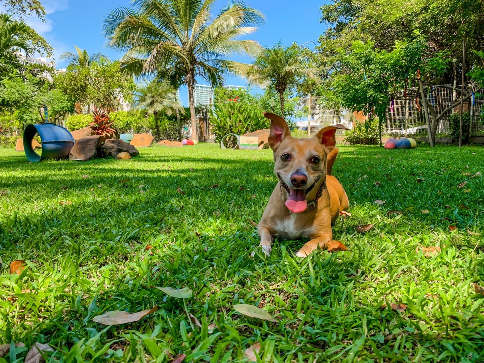 Puerto de Luna Pet Friendly and Family Suites
