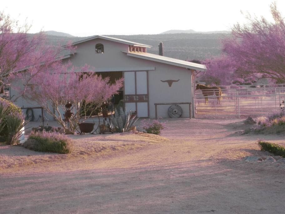 Serene & Secluded - Heart of the Sonoran Desert Bunkhouse Casita