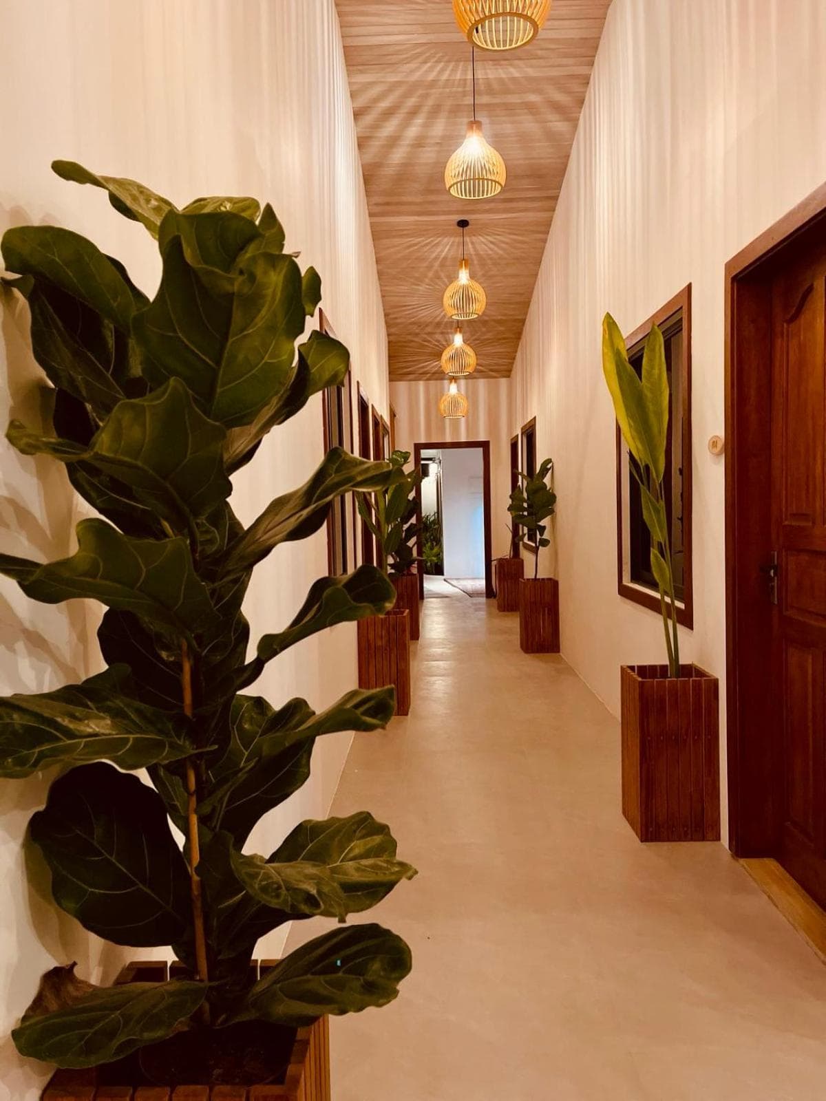 Oasis Dhigurah