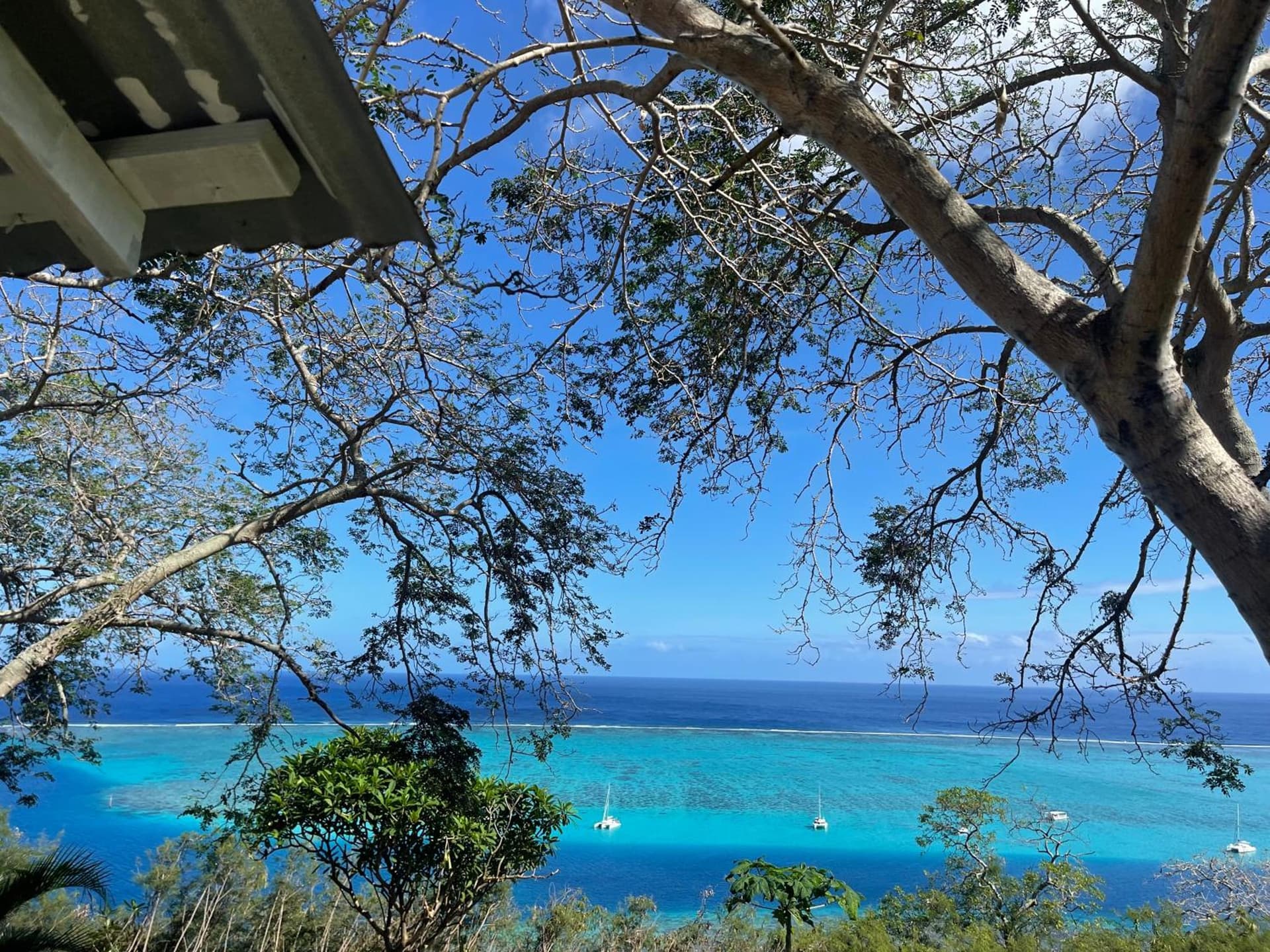 Cooks Bay Bungalow View Garden